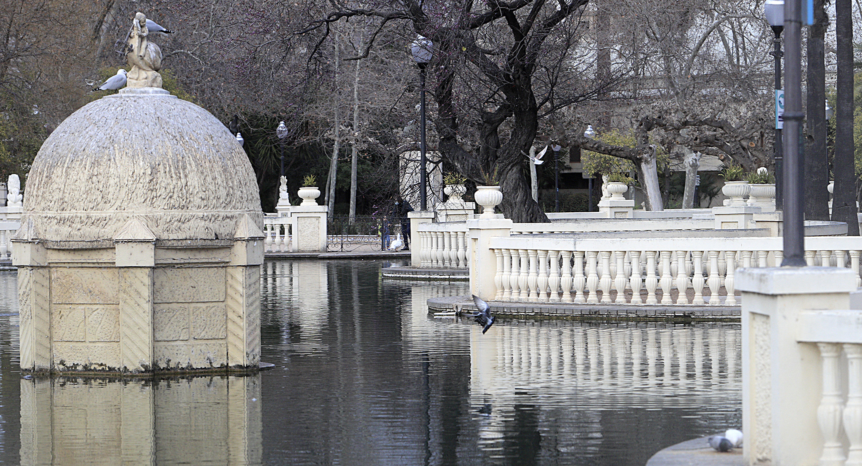 Parque Ribalta Denuncian la 'cruel' captura de palomas con red en el parque Ribalta de ...