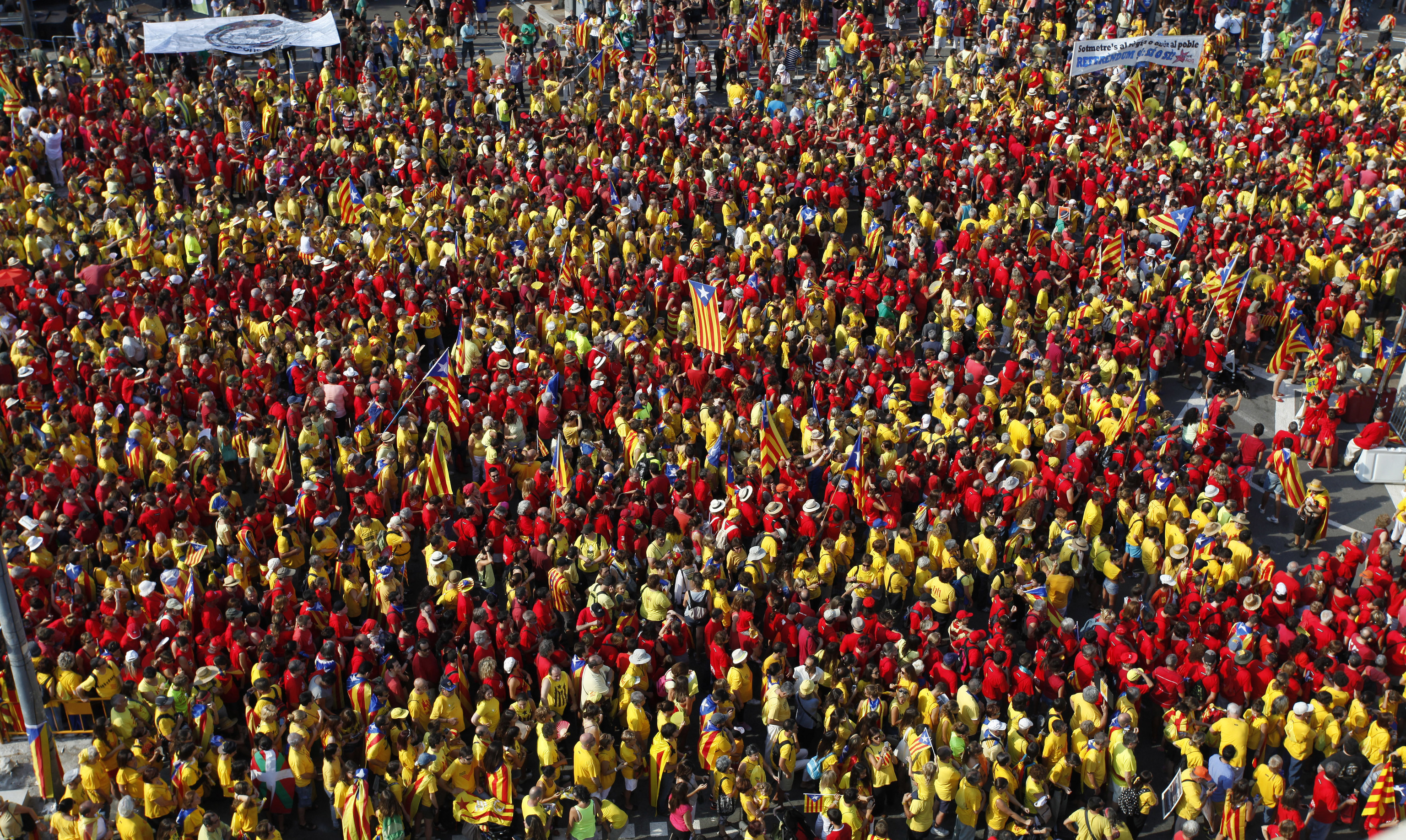 Manifestacin en Barcelona con motivo de la Diada de 2014.