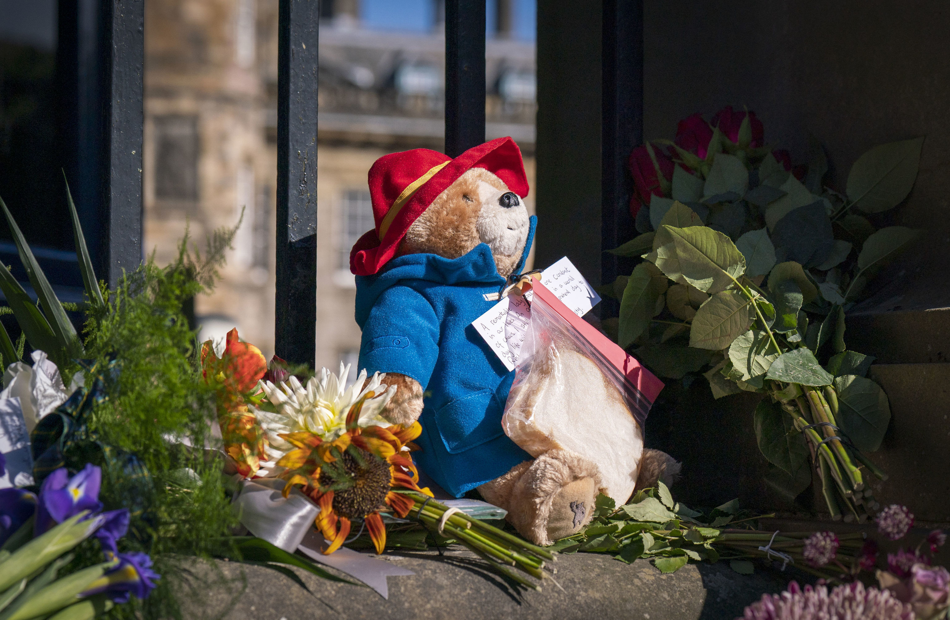 Un oso Paddington y un sndwich de mermelada en homenaje a Isabel II