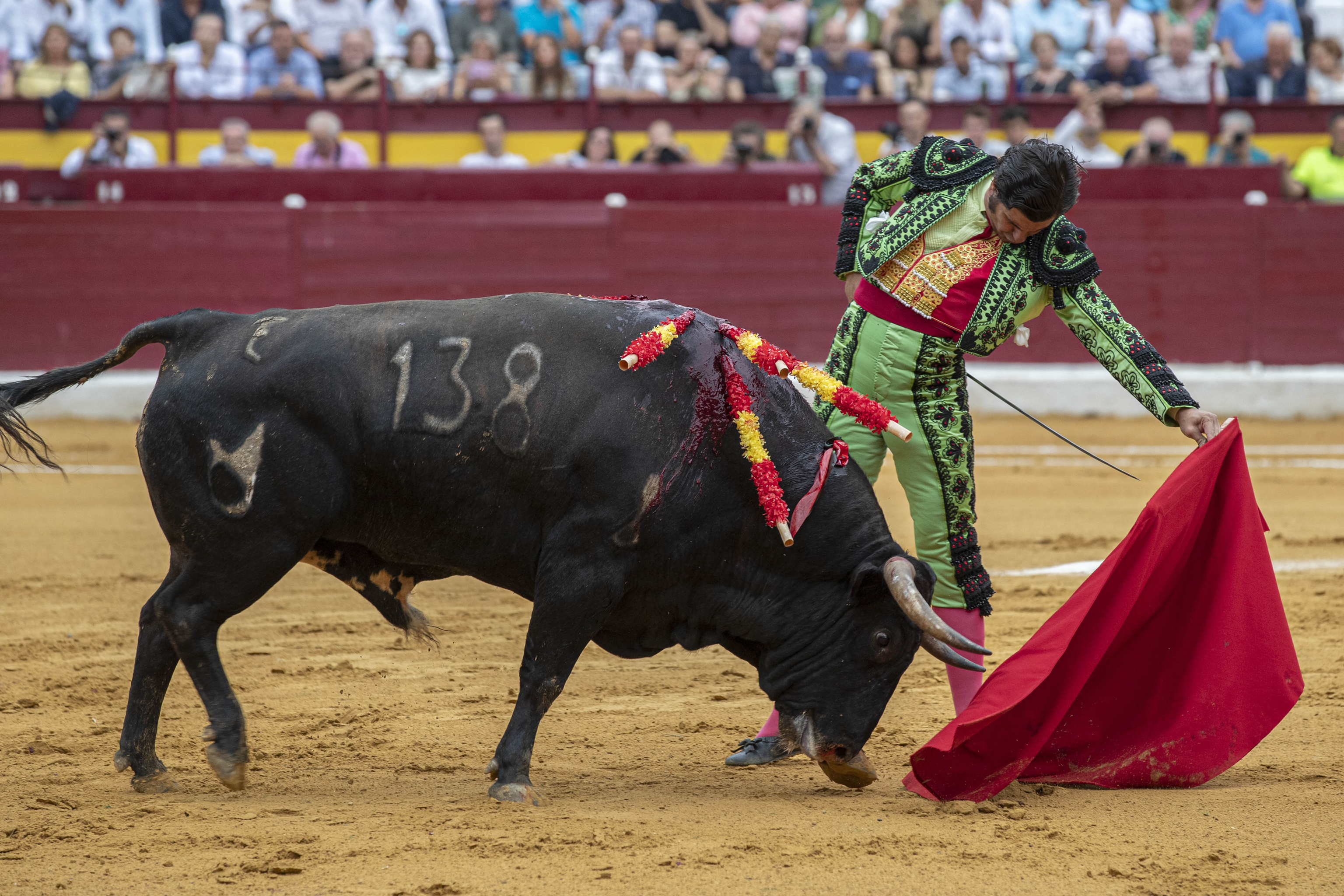 El torero sevillano Morante de la Puebla durante la lidia de su primer astado, este martes durante el festejo taurino de la feria de Murcia, donde se han lidiado toros de Nez del Cuvillo, en la plaza de toros de La Condomina. EFE/Marcial Guilln