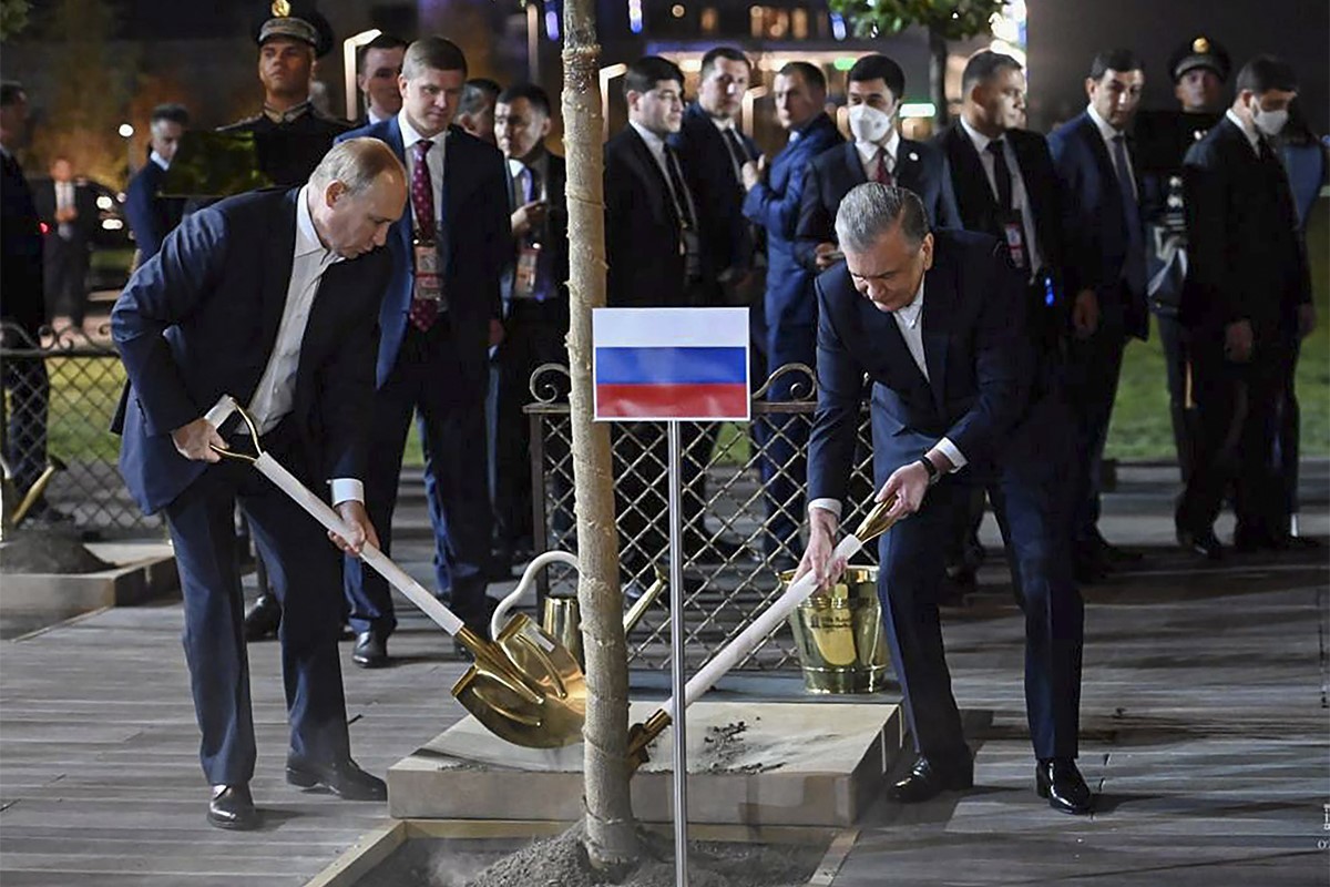 Putin cavando un hoyo para plantar un árbol el jueves pasado durante la cumbre de la Organización de Cooperación  en Uzbekistán.