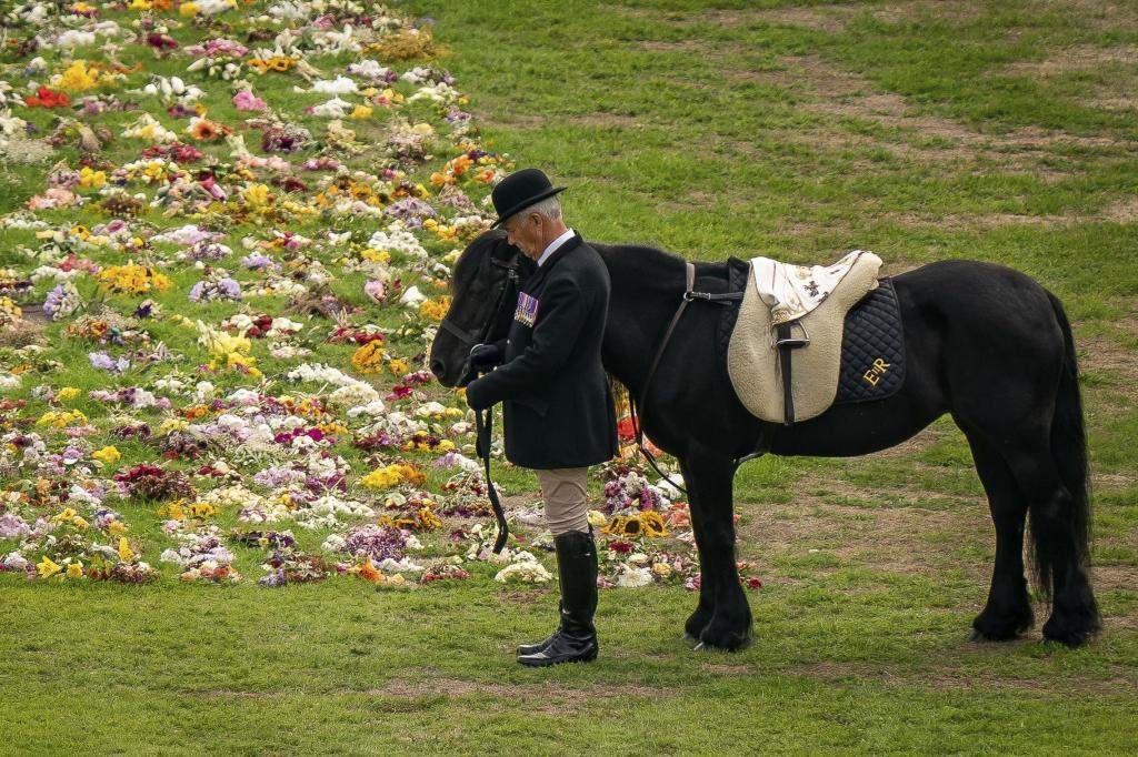 Emma, el caballo favorito de Isabel II, durante el cortejo fúnebre en Windsor.