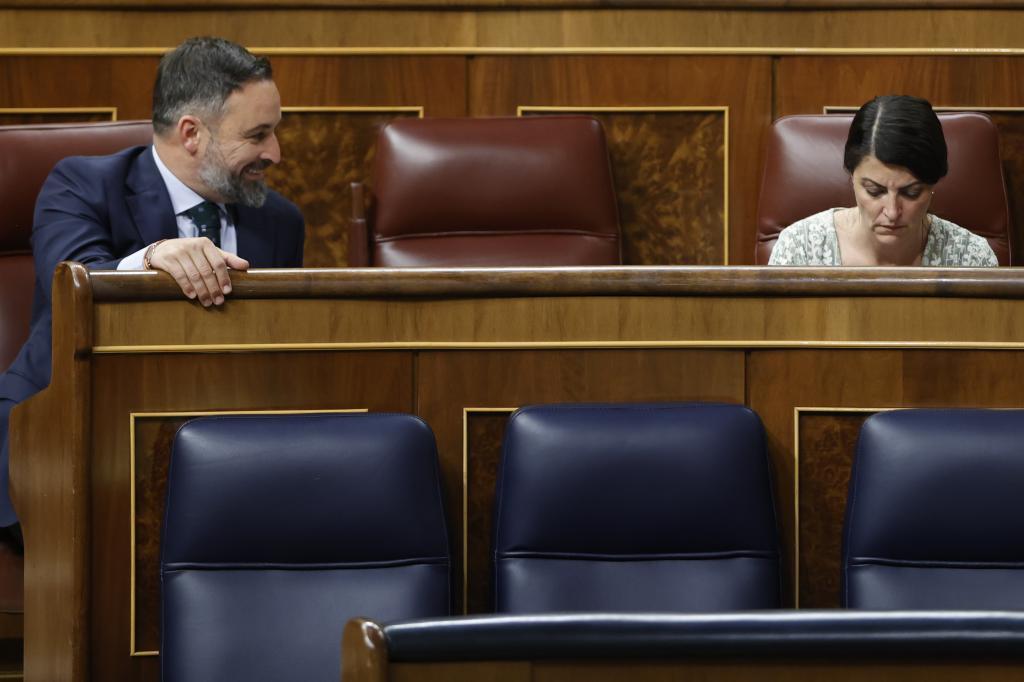 El presidente de Vox, Santiago Abascal, y Macarena Olona, en el Congreso, el pasado mes de abril.