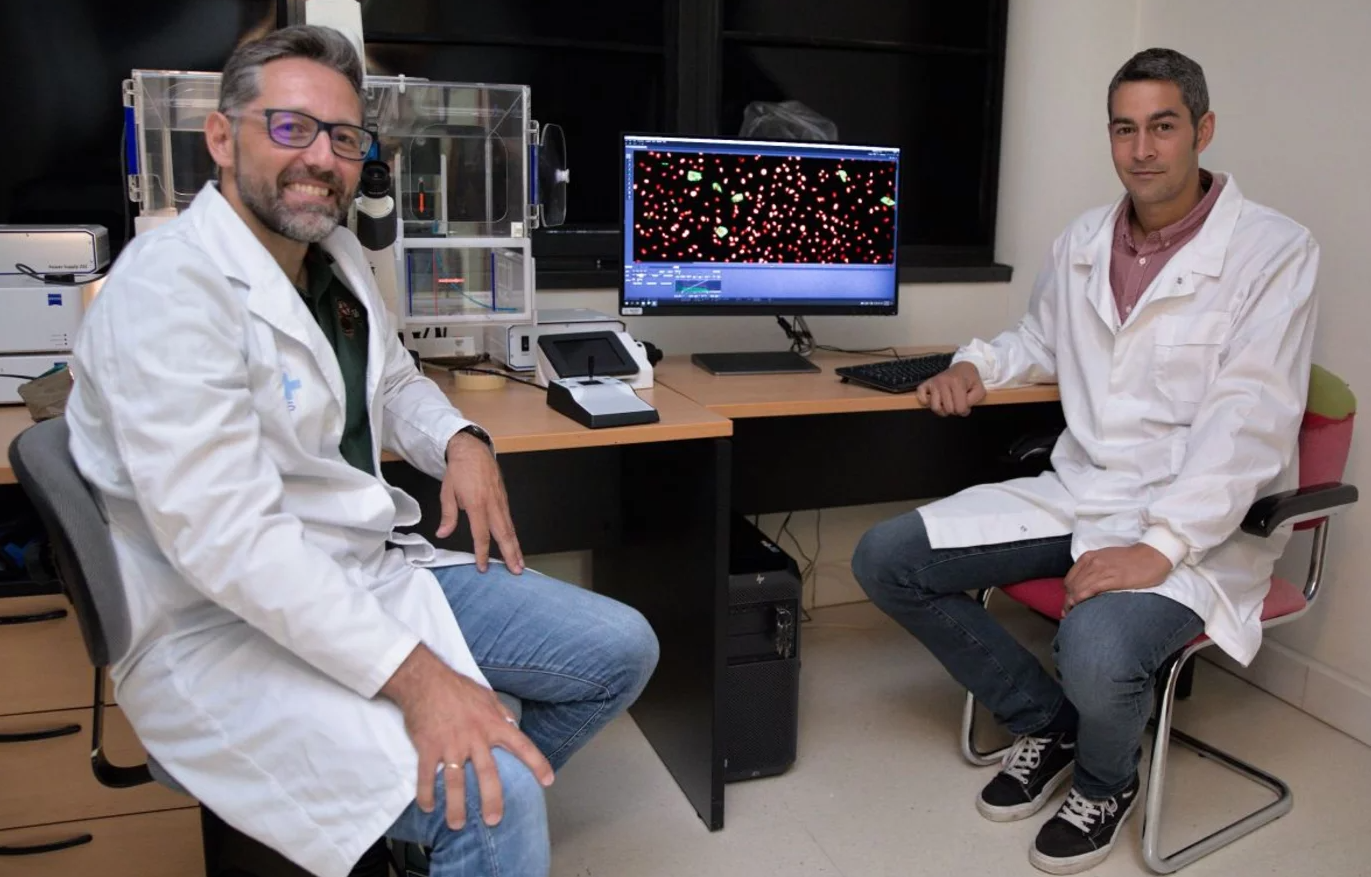 Los investigadores Gabriel Bretones y Alejandro Piñeiro, ambos del Departamento de Bioquímica y Biología Molecular de la Universidad de Oviedo.