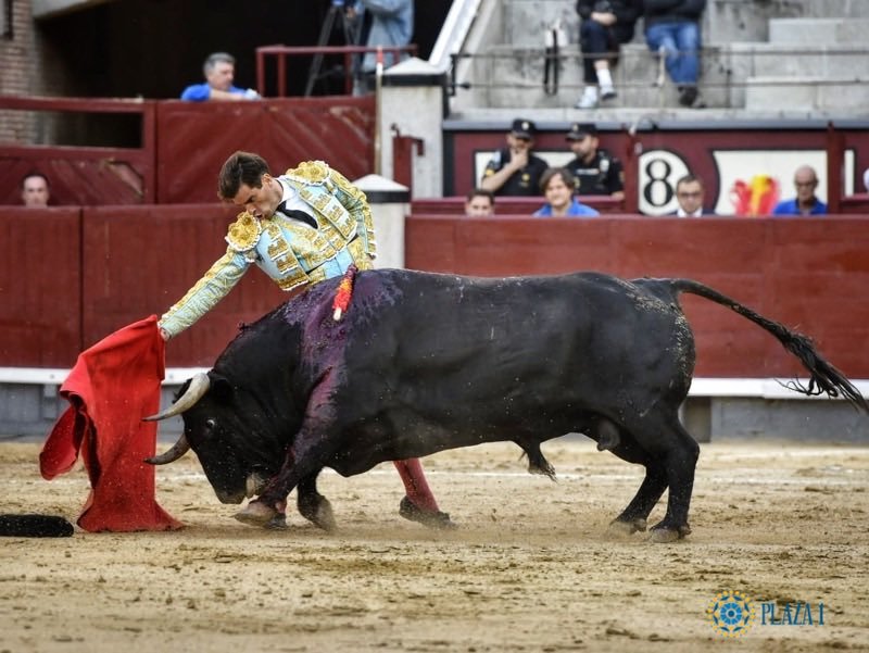 Un gran toro de La Palmosilla arrasa con el torismo en la corrida concurso de Madrid