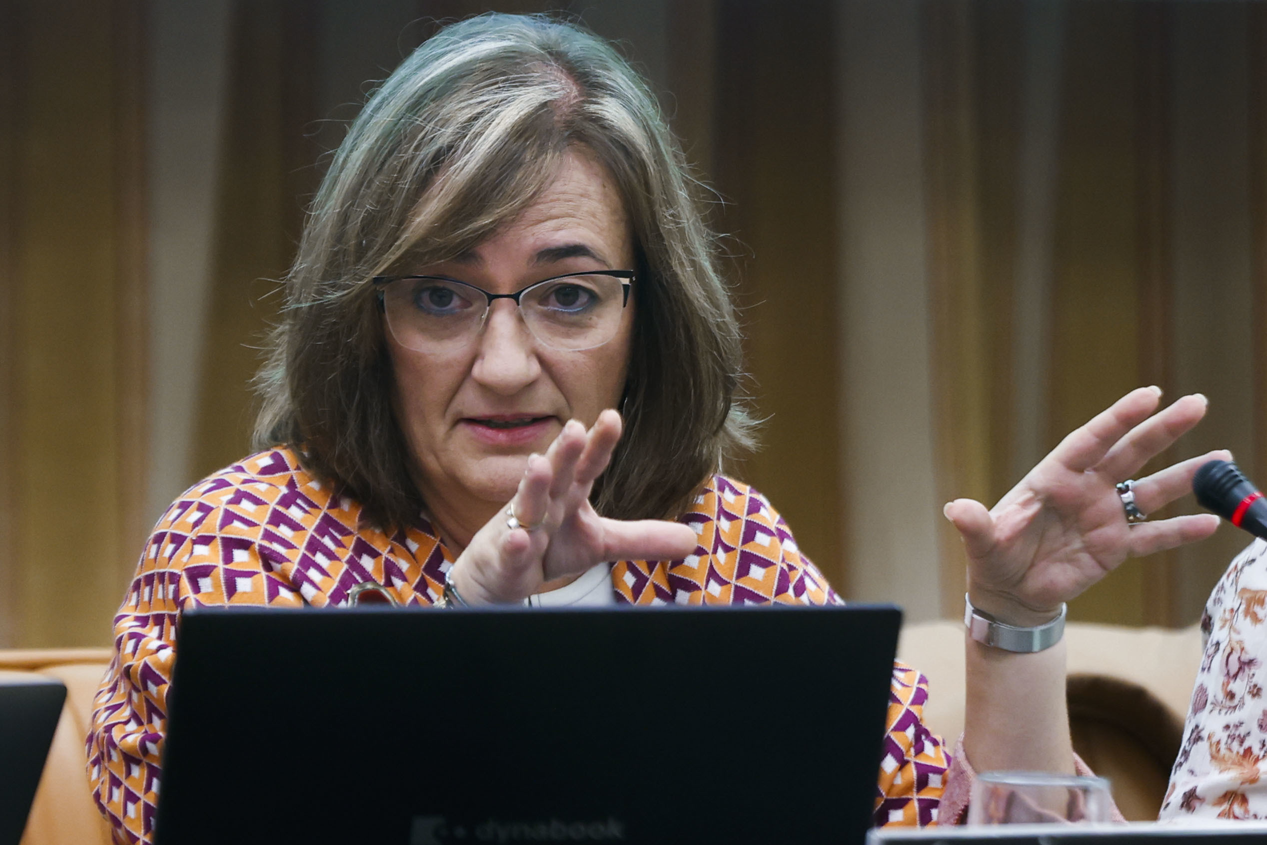 La presidenta de la Airef, Cristina Herrero Snchez, en la Comisin de Presupuestos.