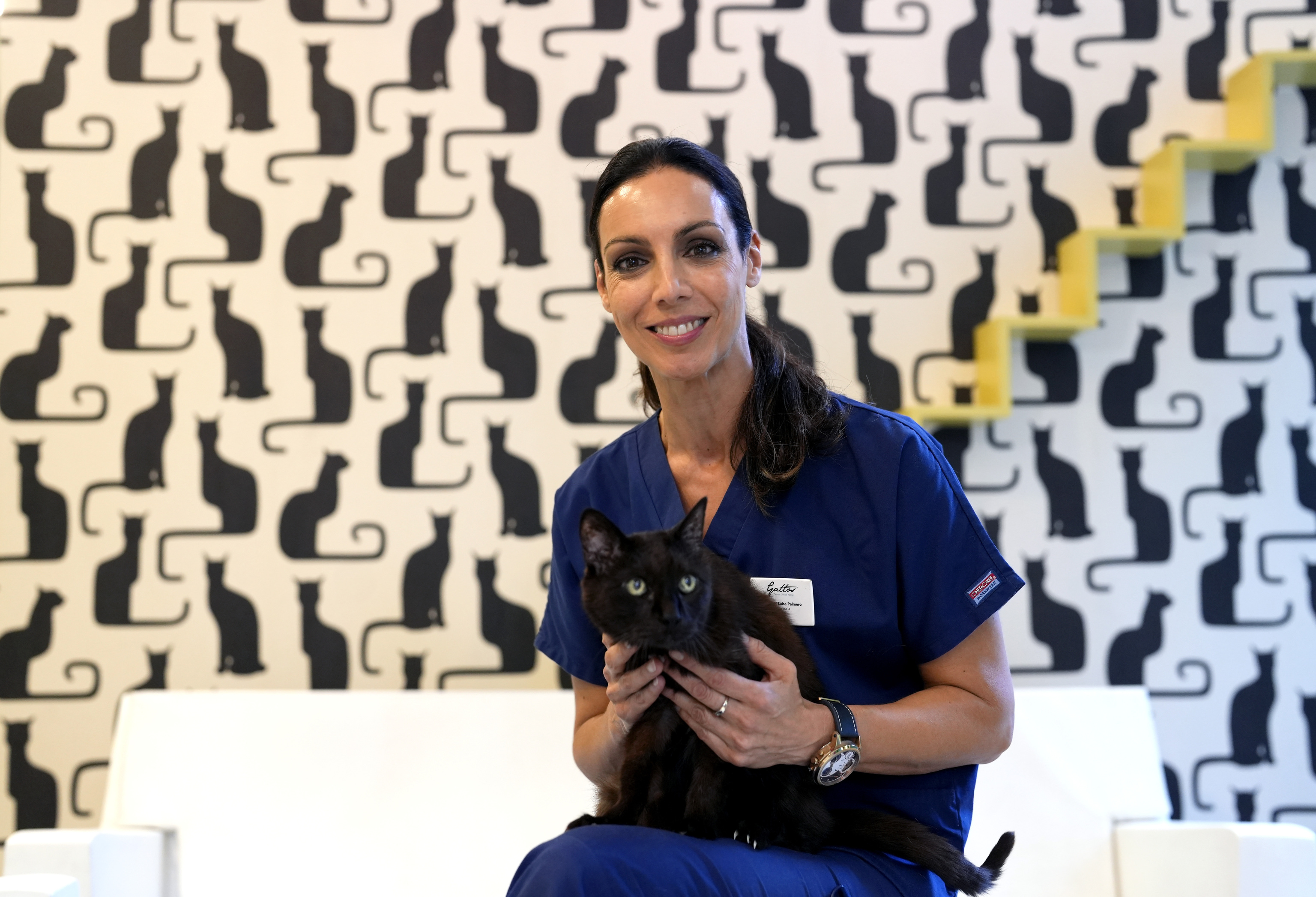 La veterinaria que hospital para felinos más grande de España: "Los gatos muy macarras" | Madrid