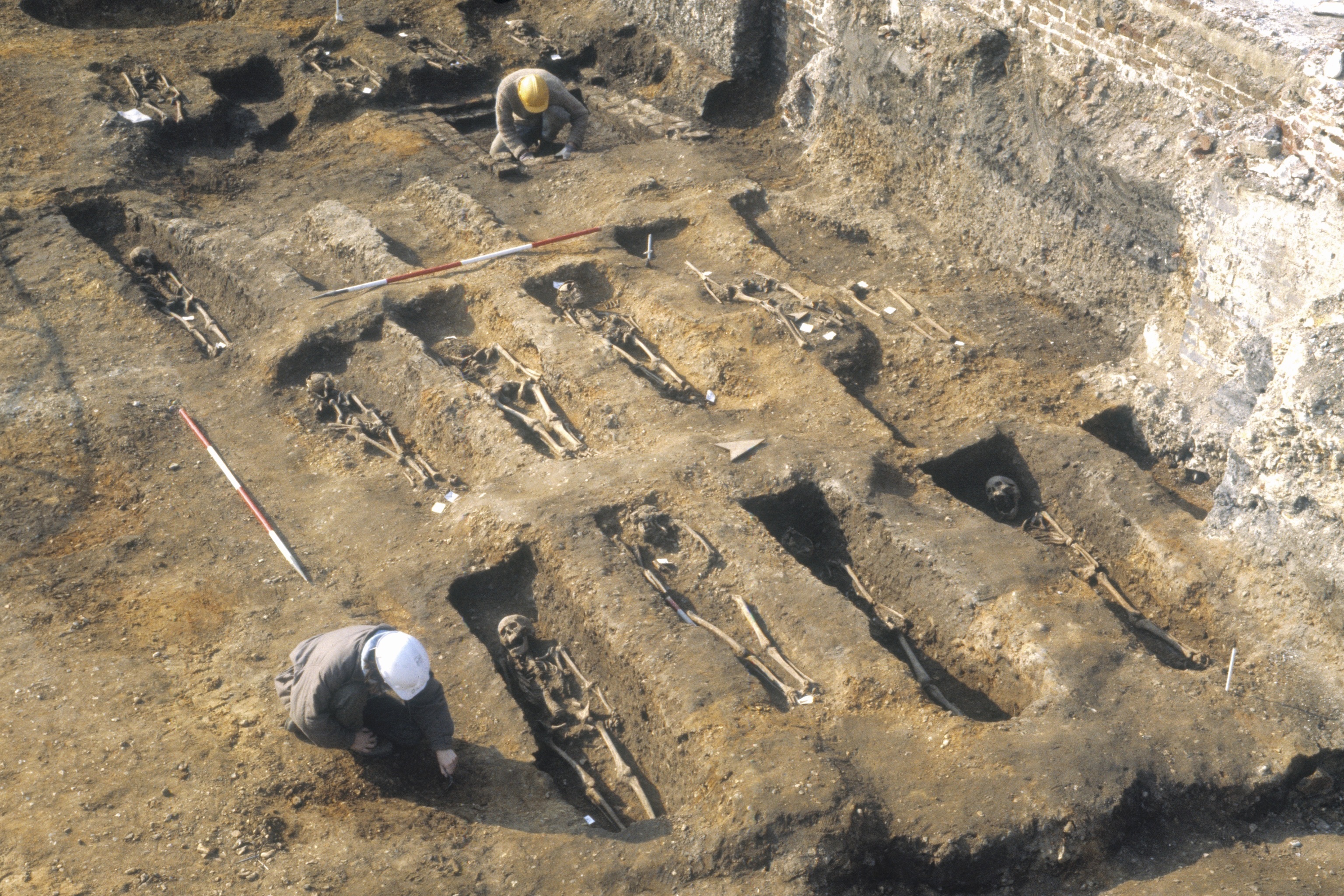 Excavacin de las fosas de la peste en Londres