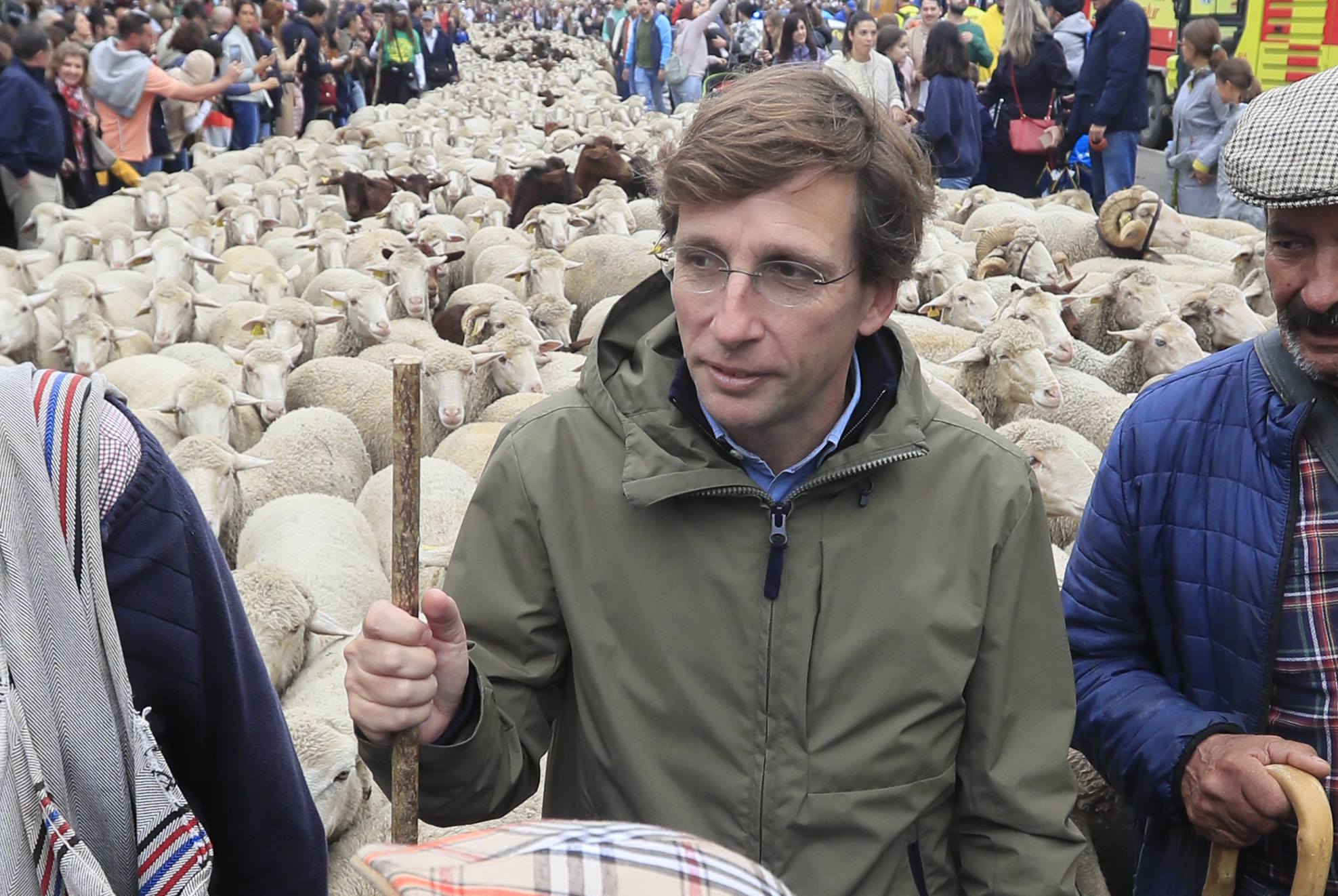 El alcalde de Madrid, Jos Luis Martnez-Almeida, junto a las ovejas.