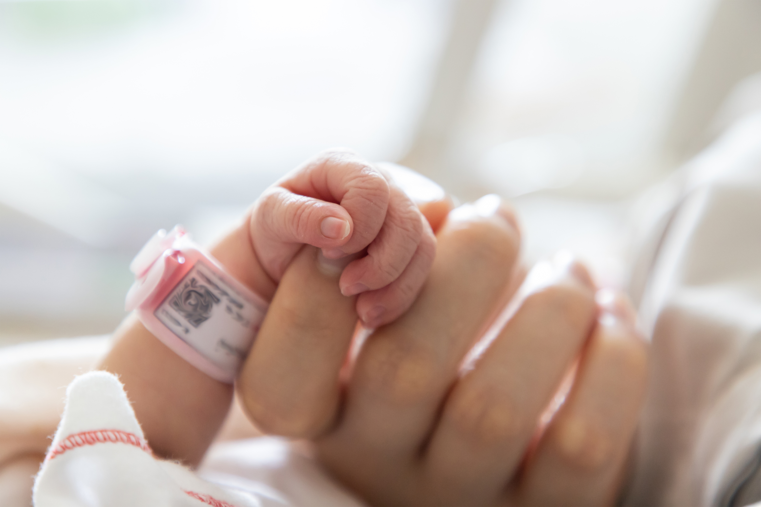 La mano de un bebé sostiene el dedo de su madre.