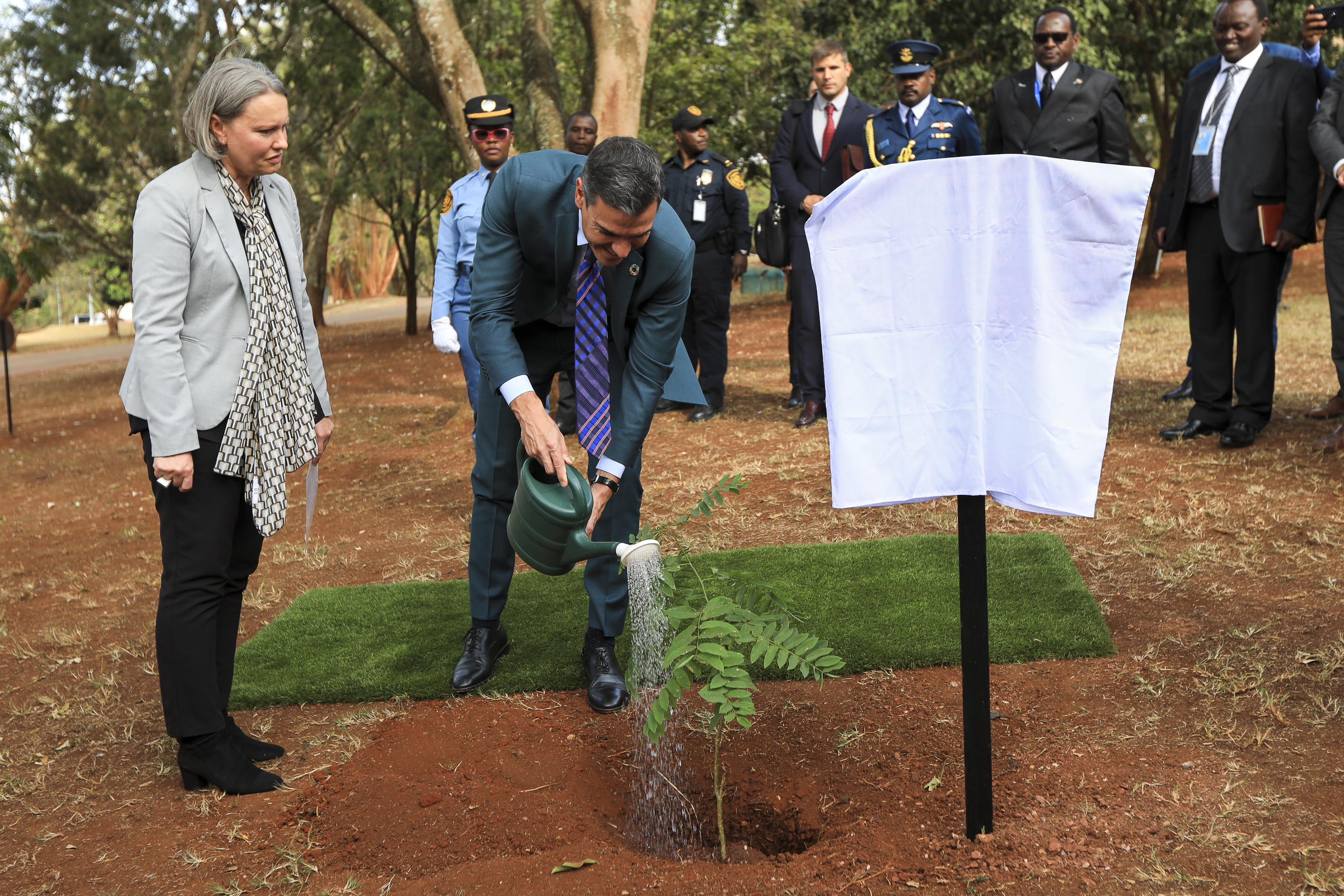Pedro Snchez planta un rbol durante su visita a la sede de Naciones Unidas en Nairobi.