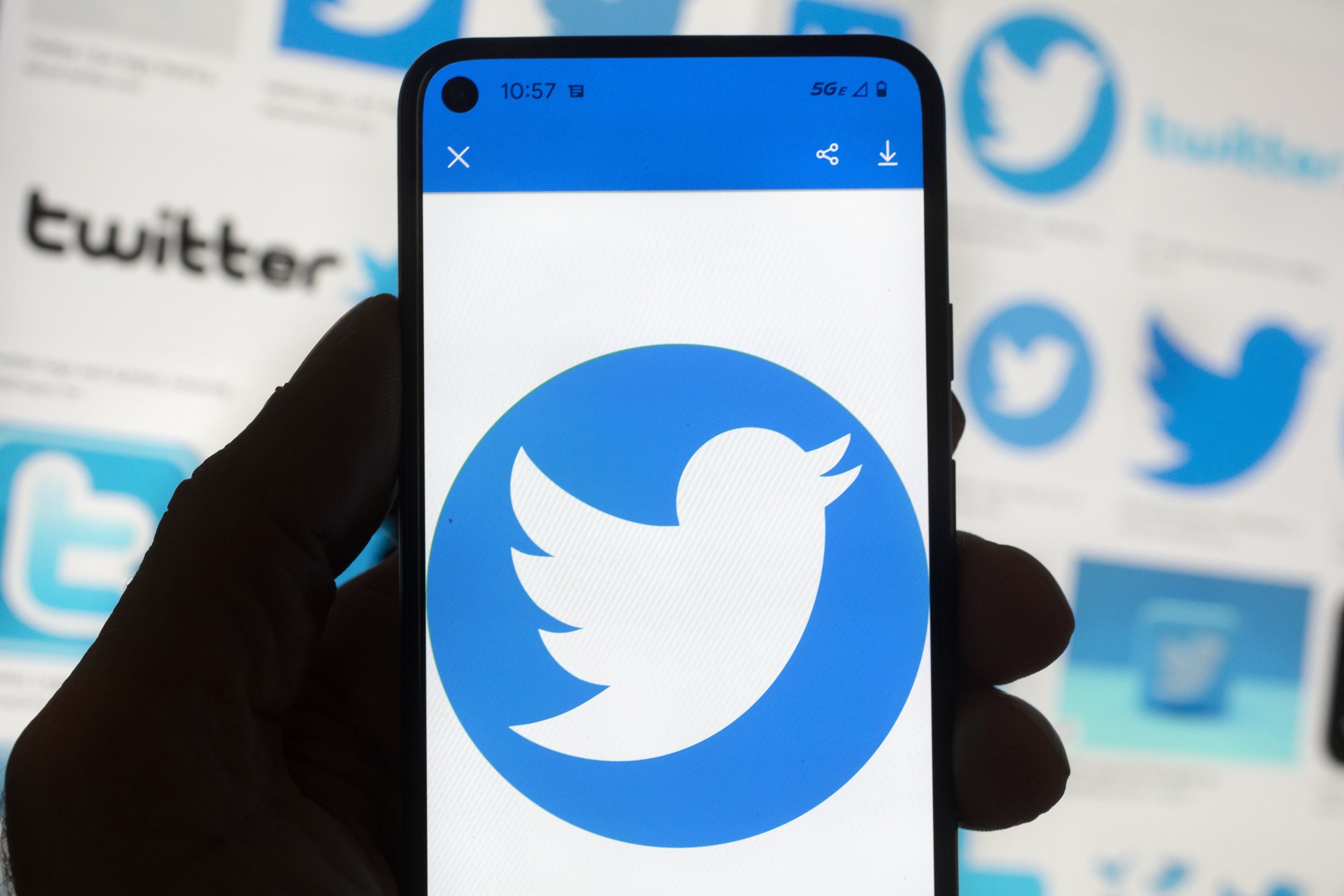 El logo de Twitter en una pantalla.