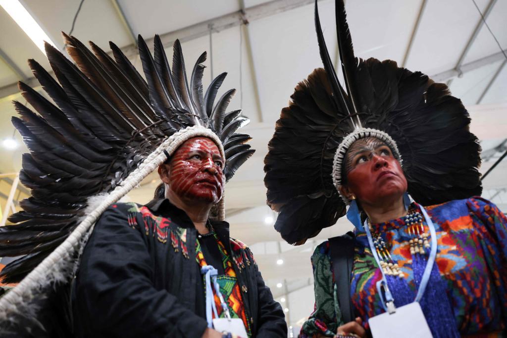 Activistas de Brasil con traje tradicional en la COP27