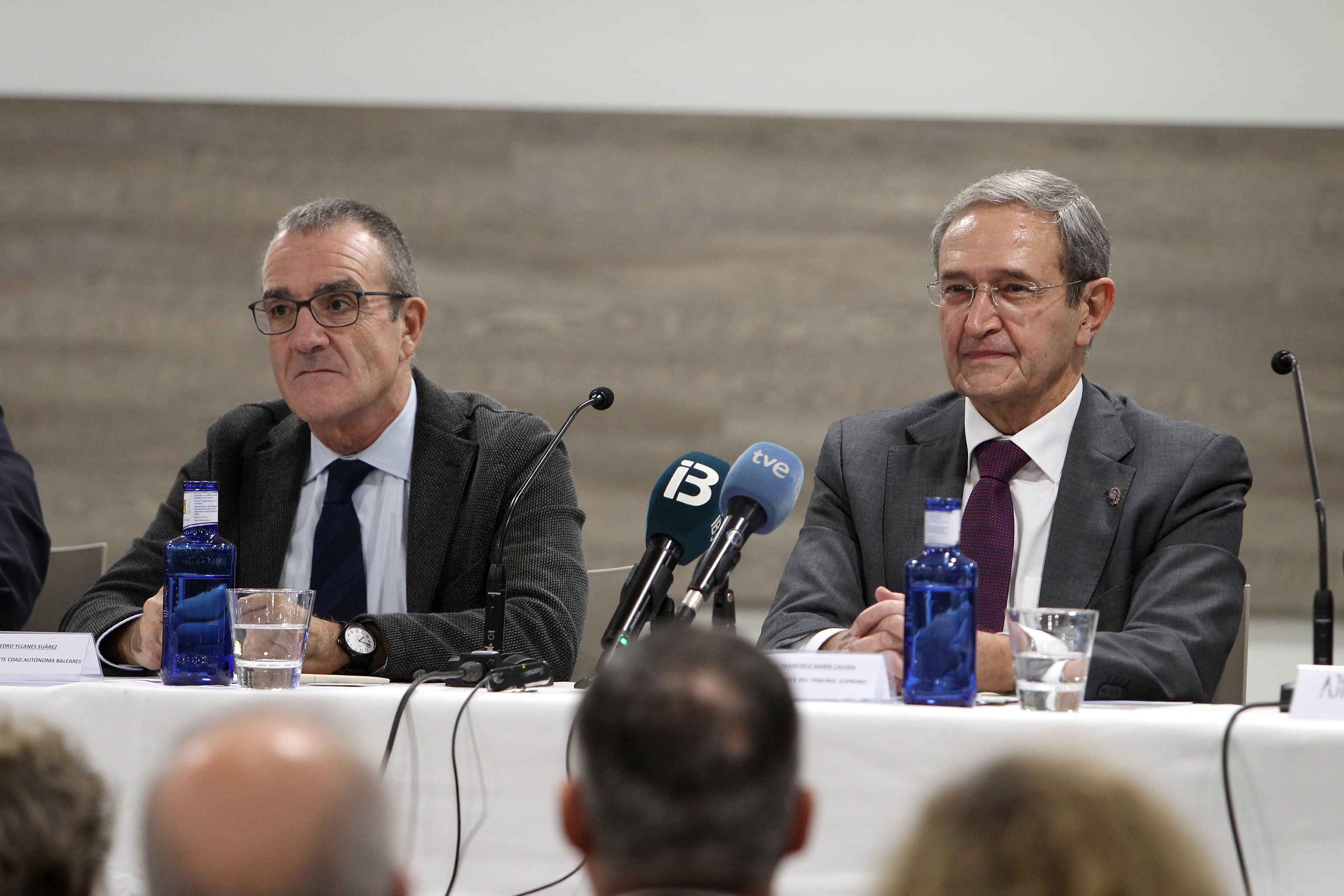 El juez y dirigente de Podemos, Juan Pedro Yllanes, junto al presidente del Tribunal Supremo, Francisco Marn.