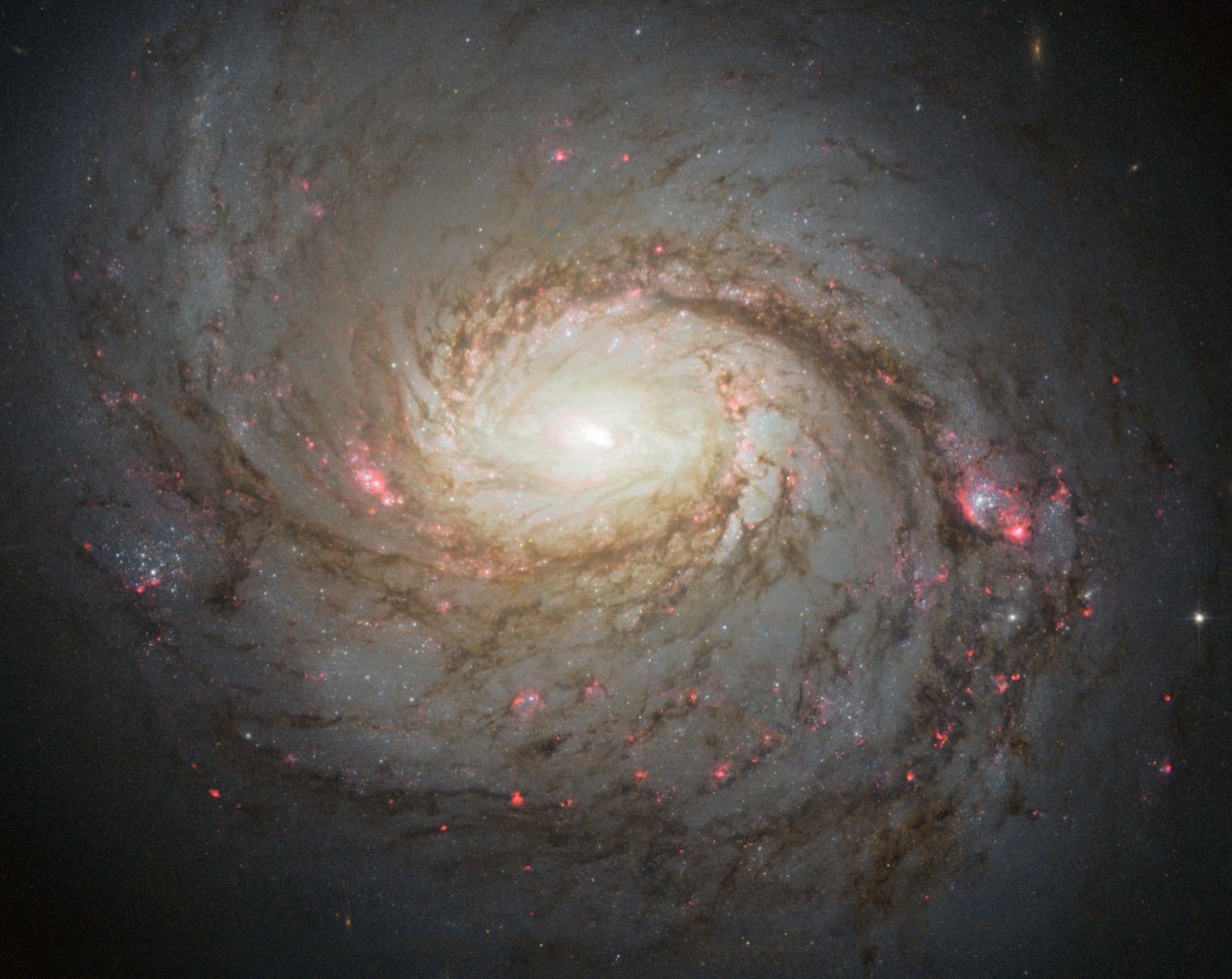 La Galaxia del Calamar observada por el Hubble
