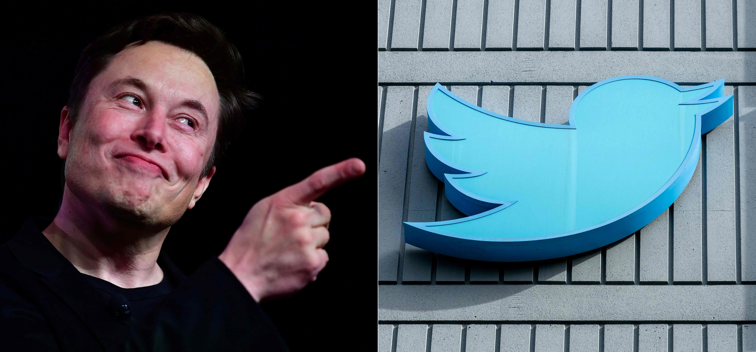 Elon Musk, a la izquierda y el logo de Twitter en las oficinas de la compaa.