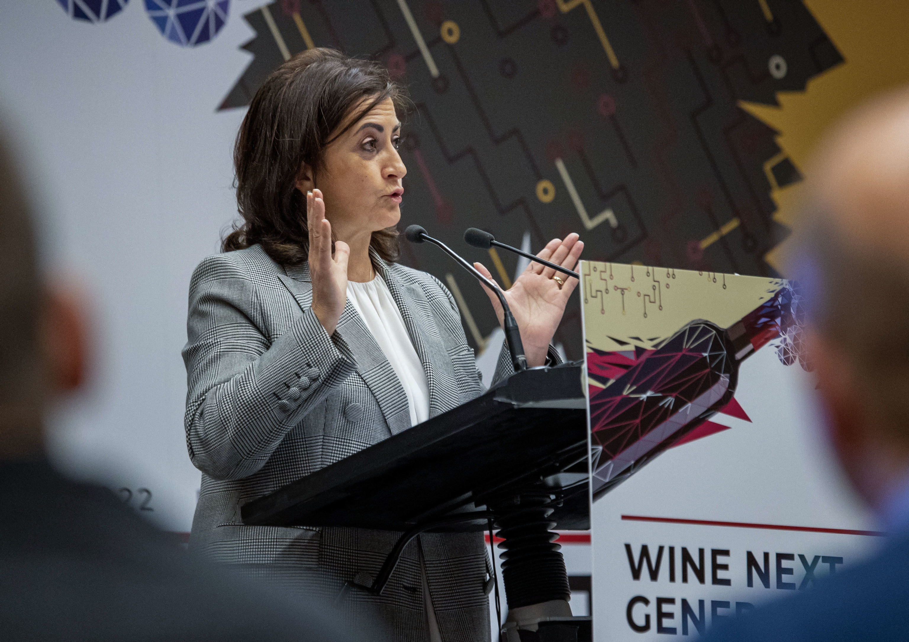 La presidenta de La Rioja y lder tambin del PSOE riojano, Concha Andreu.