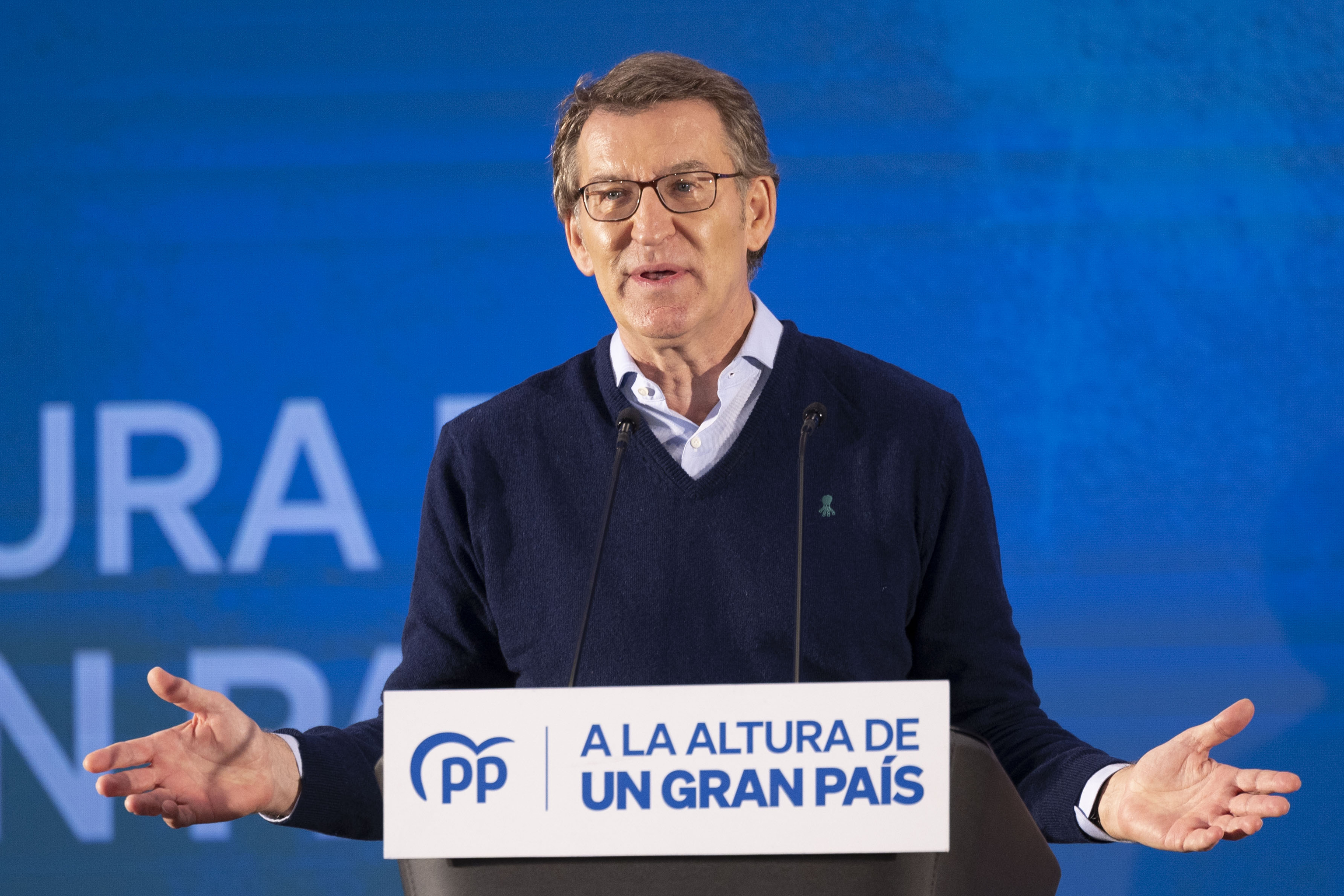 El presidente del Partido Popular, Alberto Nez Feijo.