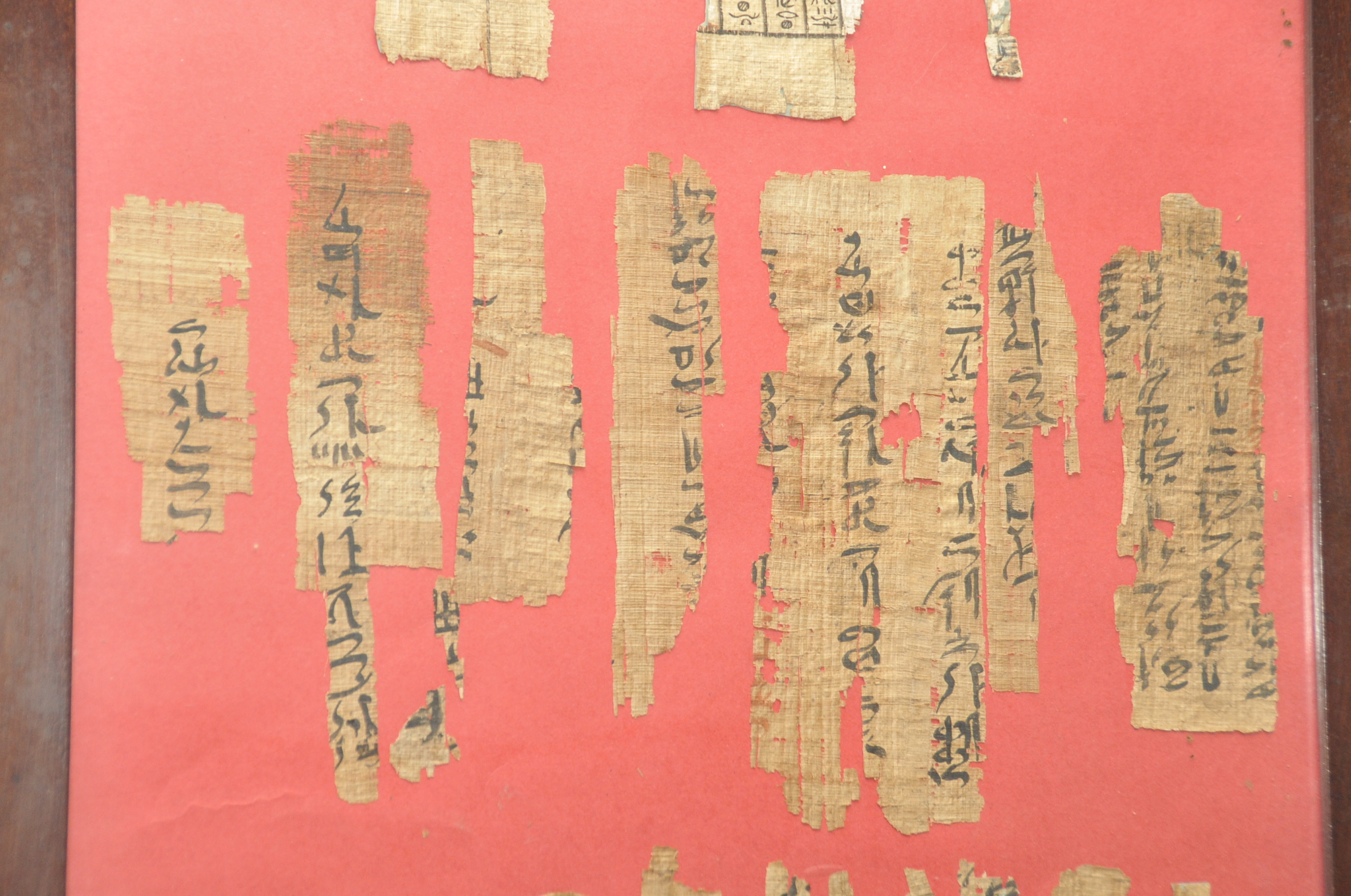 Fragmentos del papiro de Berlín, de 4.000 años de antigüedad.