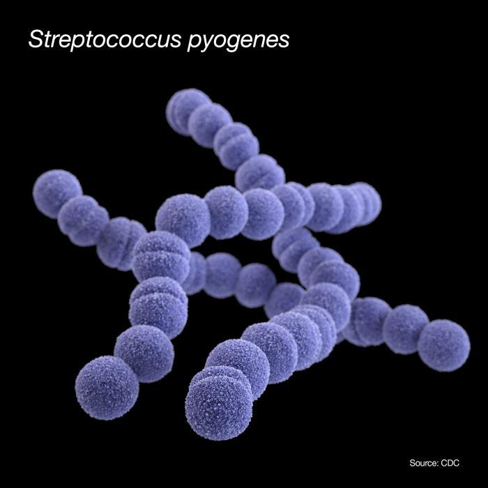 Recreación de las características de una bacteria 'Streptococcus Pyogenes'.