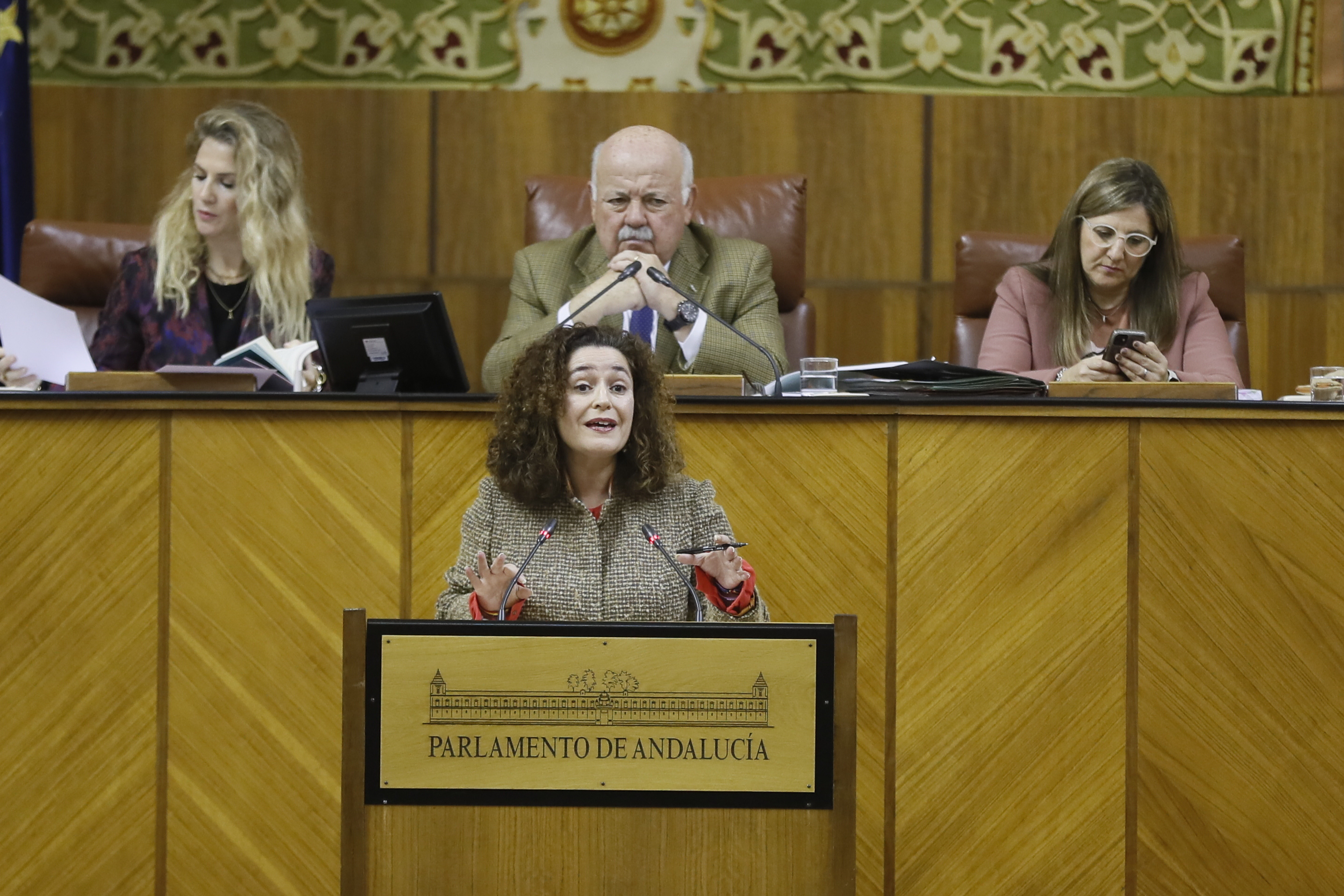 Intervencin de la portavoz de Adelante Andaluca, Inmaculada Nieto, durante la sesin plenaria.