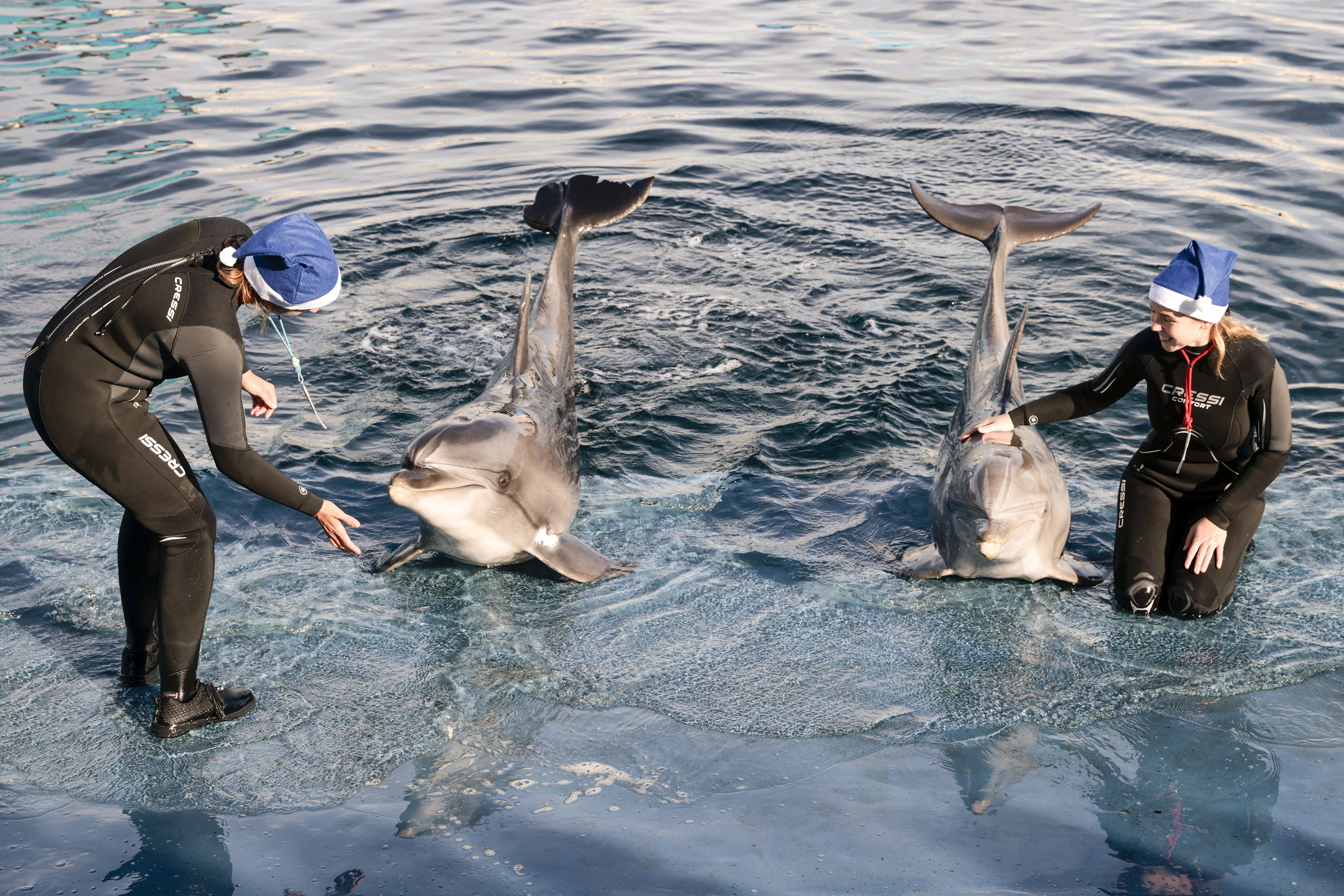 Cuidadores del Oceanogrfico de Valencia con delfines.