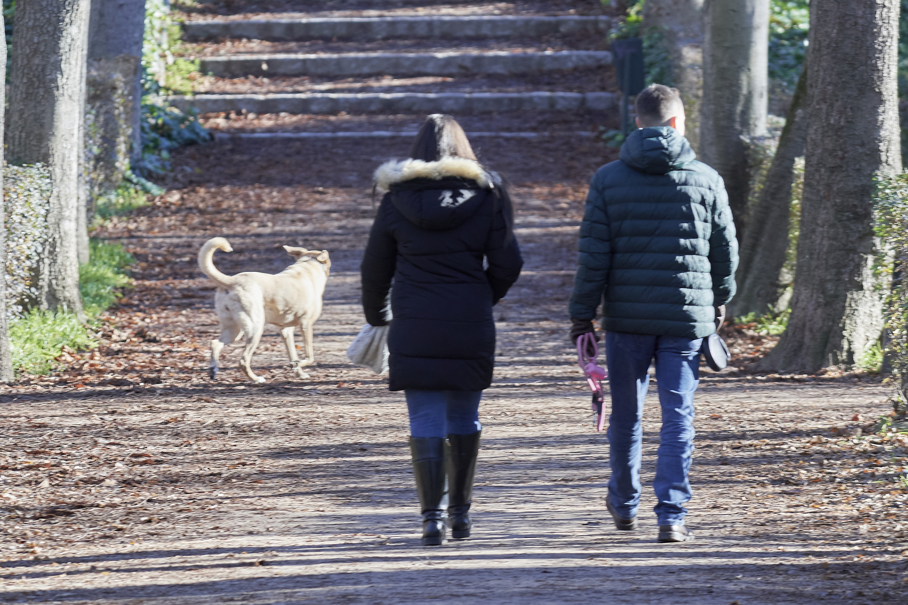 Una pareja pasea a su perro sin correa.