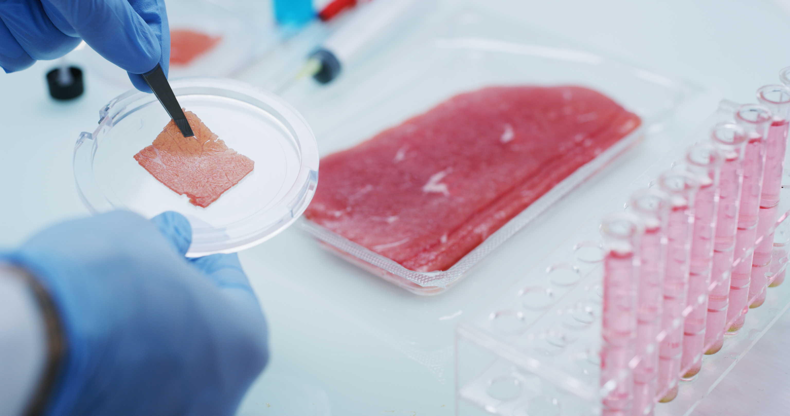 La carne impresa en 3D o cultivada en el laboratorio son dos de las líneas en que la innovación está reinventando la alimentación humana