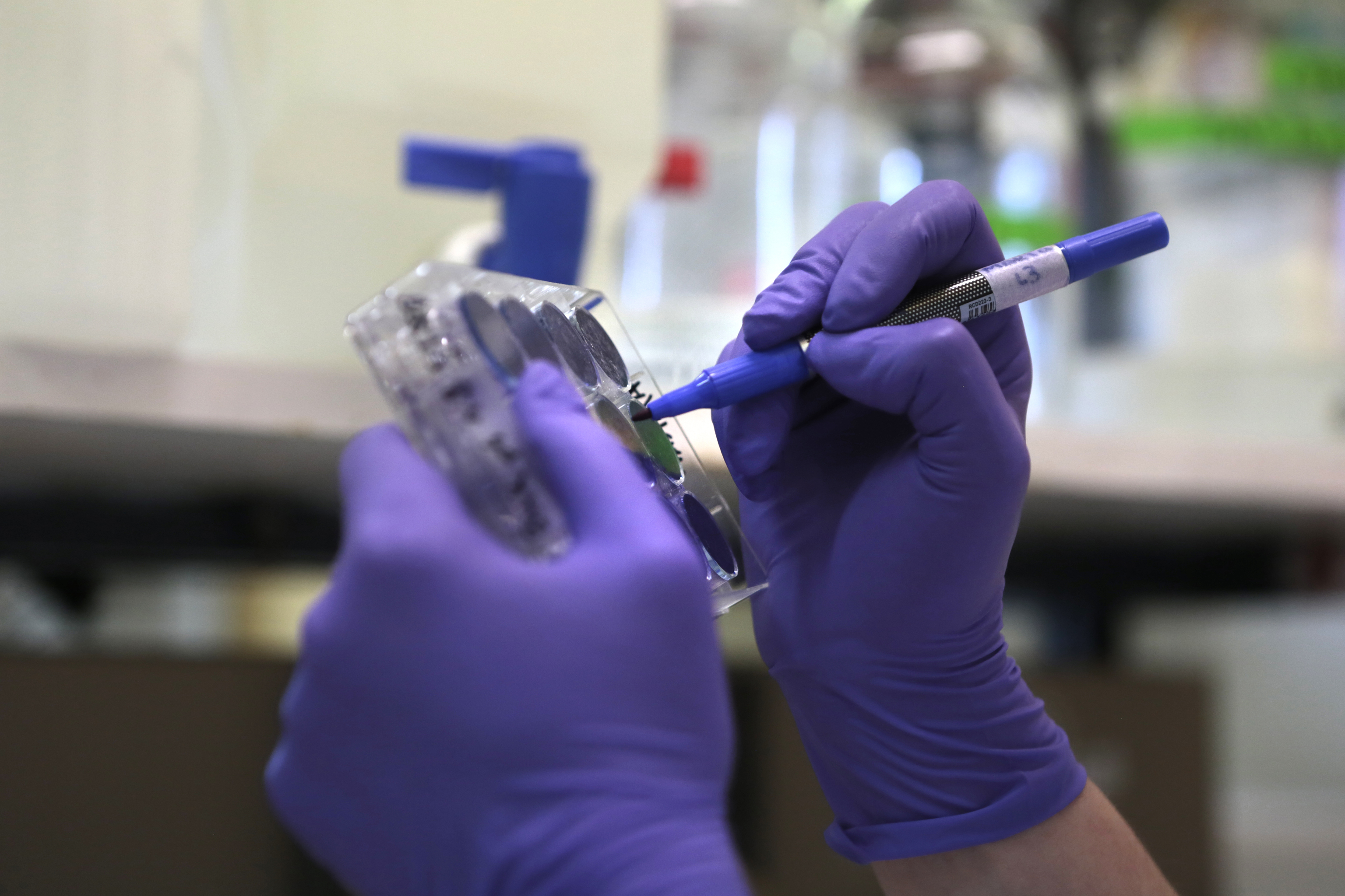 Trabajos en un laboratorio del Centro de Investigación de Sanidad Animal (CISA), donde se hacen experimentos con varias vacunas contra el Covid.