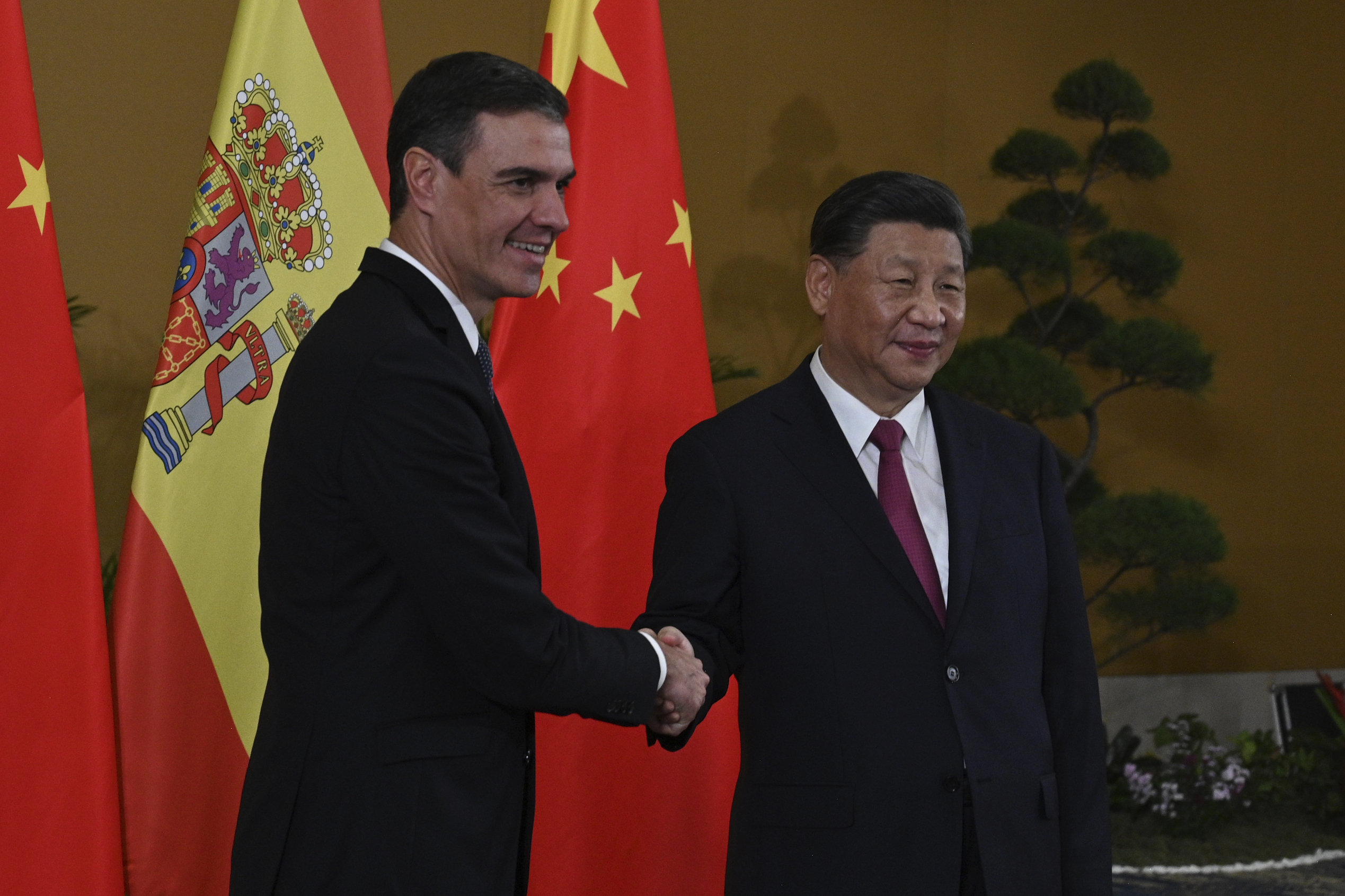 Pedro Sánchez y Xi Jinping, durante la reunión del G-20 en Balí