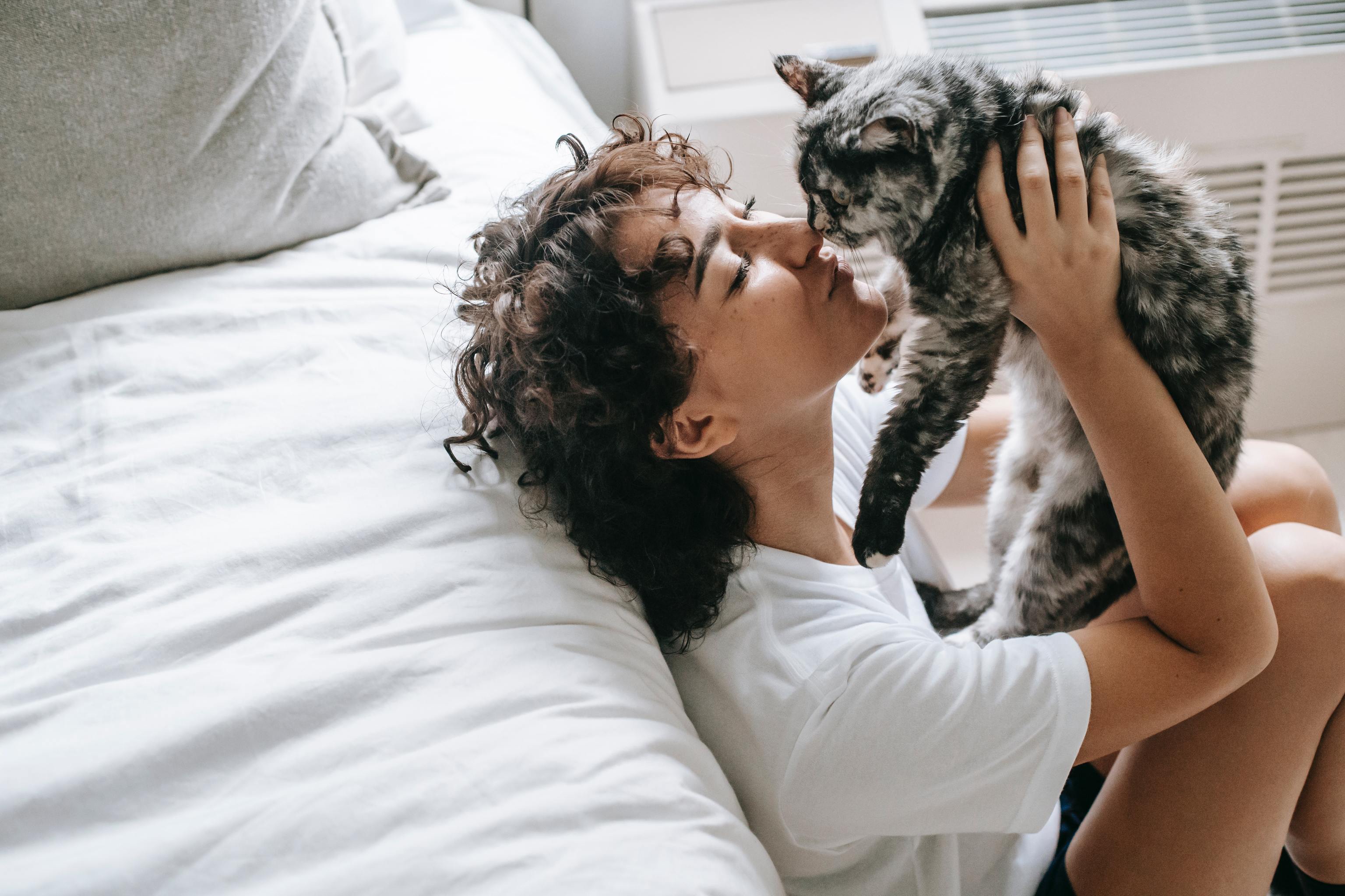 Qué soñar con gatos? la explicación Vida Saludable