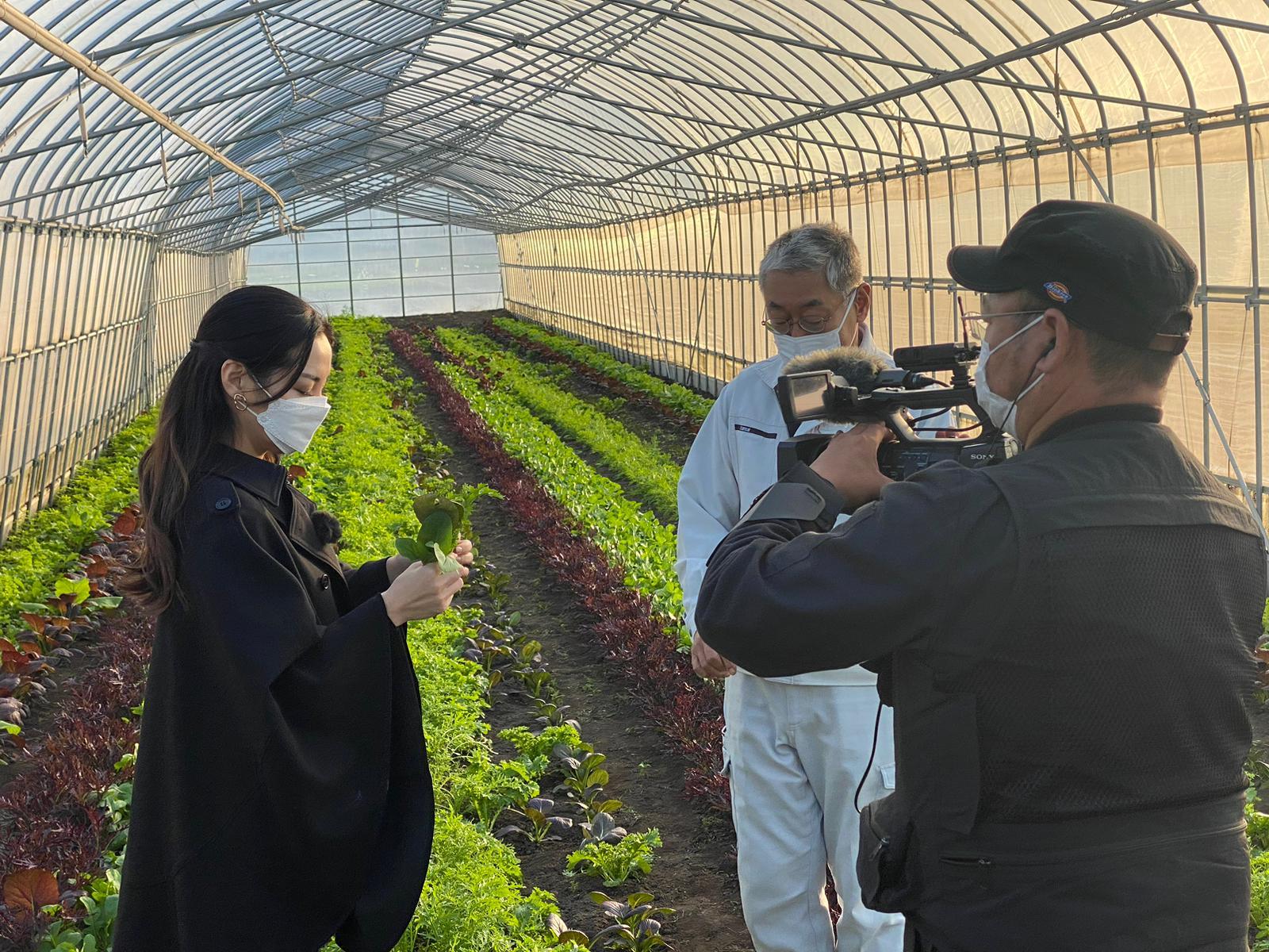 Sakiko Yamada revisando unos cultivos.