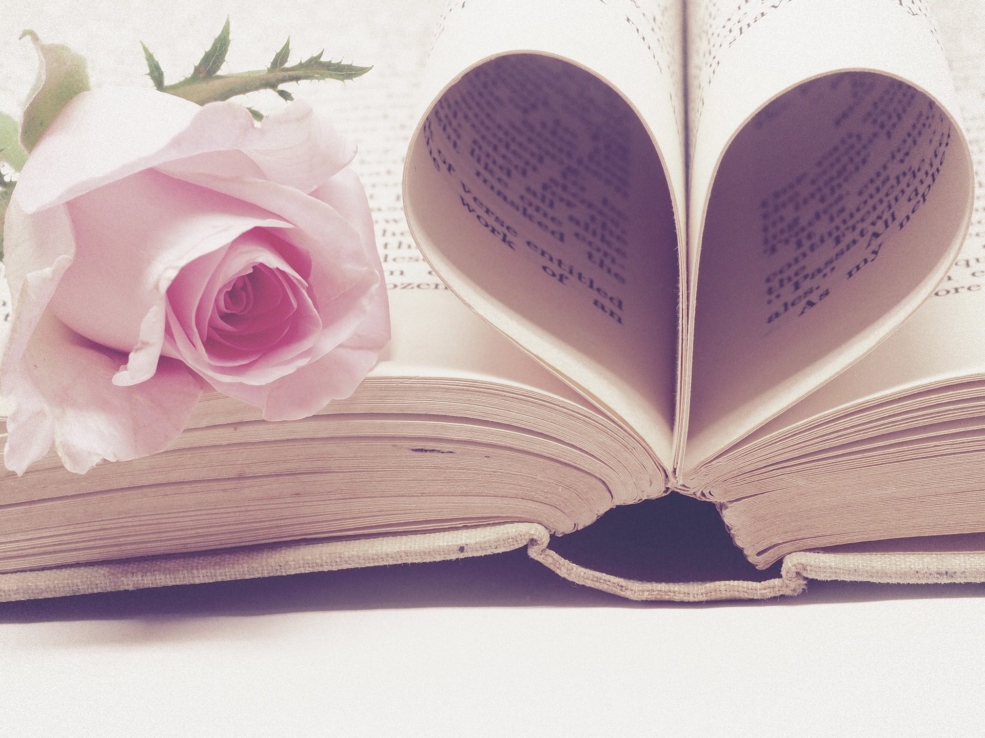 Las 55 mejores frases de San Valentín para felicitar el Día de los  enamorados | Lifestyle