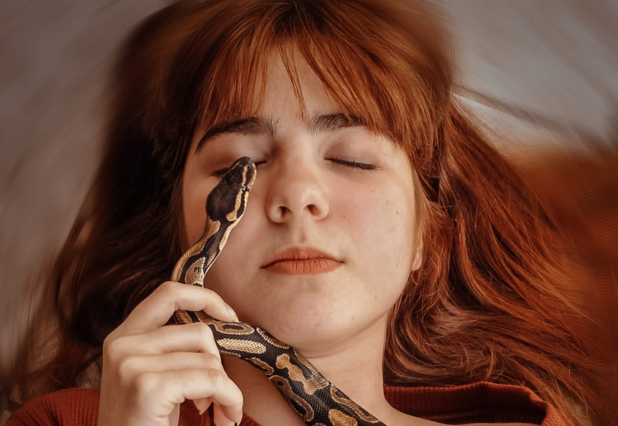 Qué significa soñar con serpientes expertos Vida Saludable