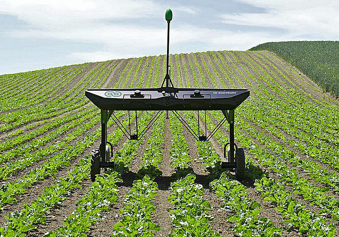 Digitalización del sector agrícola: ¡Rebelión en la granja!