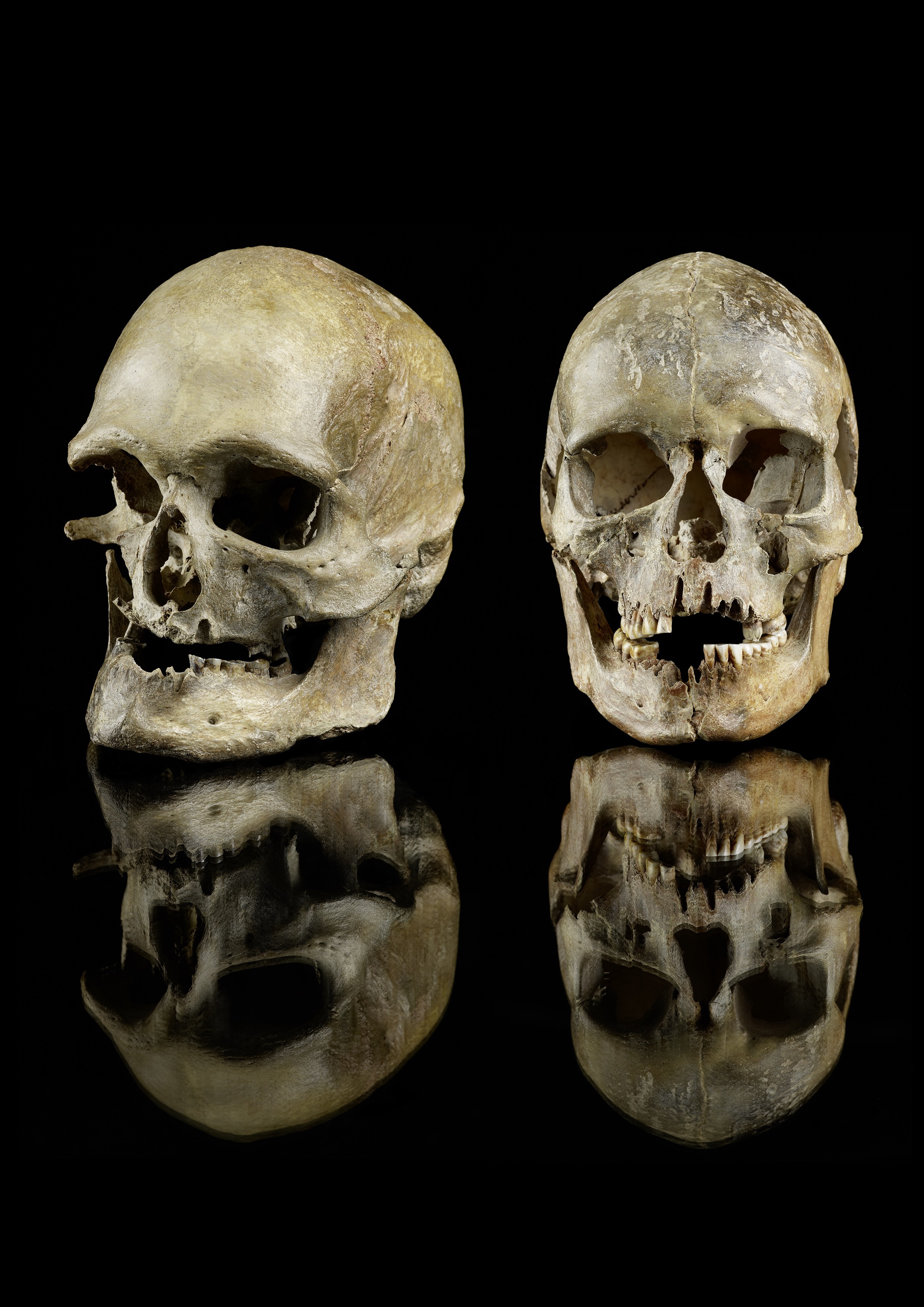 Crneos masculino y femenino enterrados en Oberkassel, Alemania, hace 14.000 aos.
