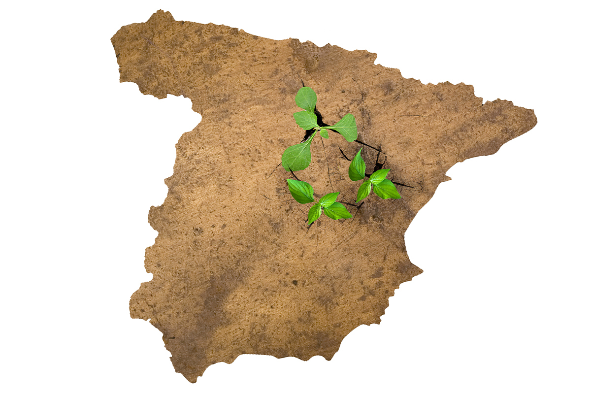 Repoblar la 
España rural
bajando los 
impuestos