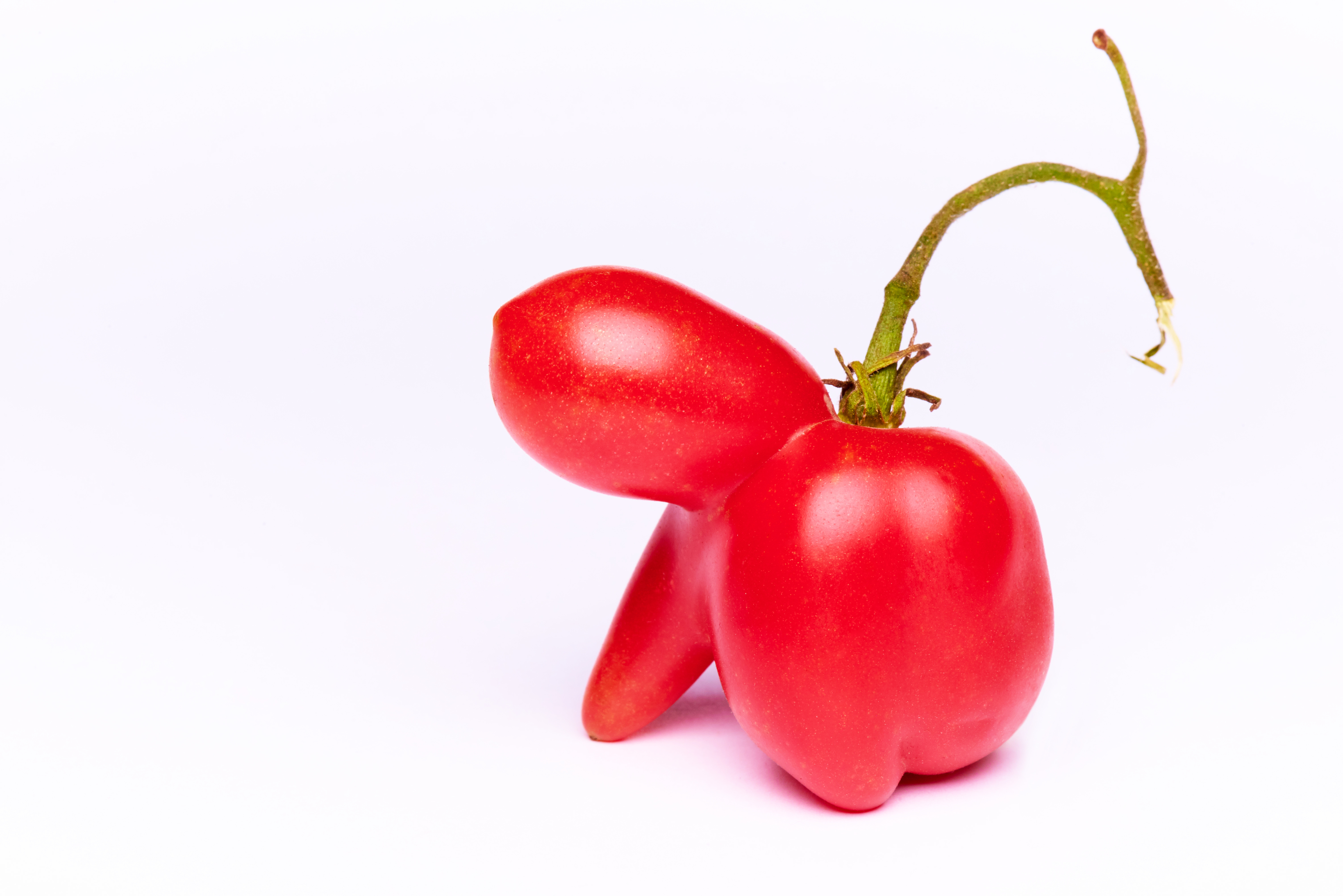 Los tomates estn entre los muchos productos que no llegan a las tiendas si su apariencia no es la mejor.