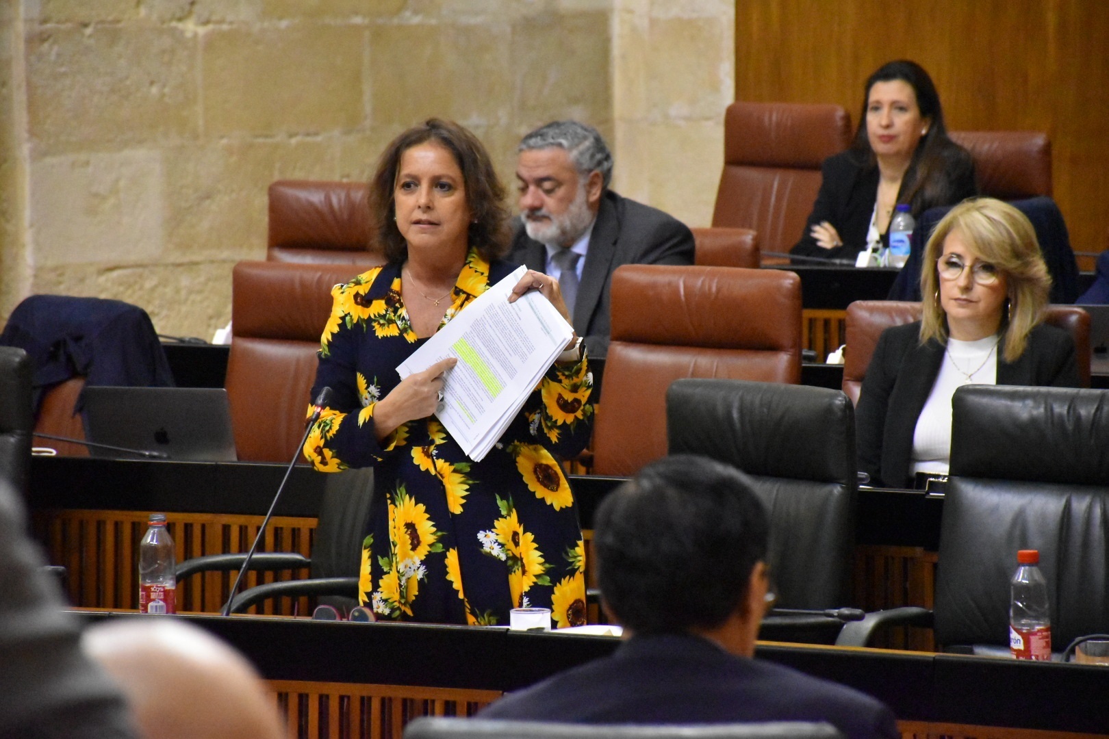 La consejera de Salud, Catalina Garca, este jueves en el Parlamento.