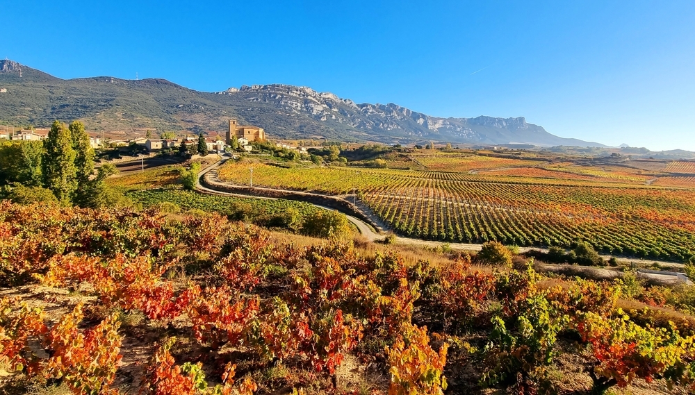 6 planes para disfrutar del vino (y mucho más) en la Rioja Alavesa