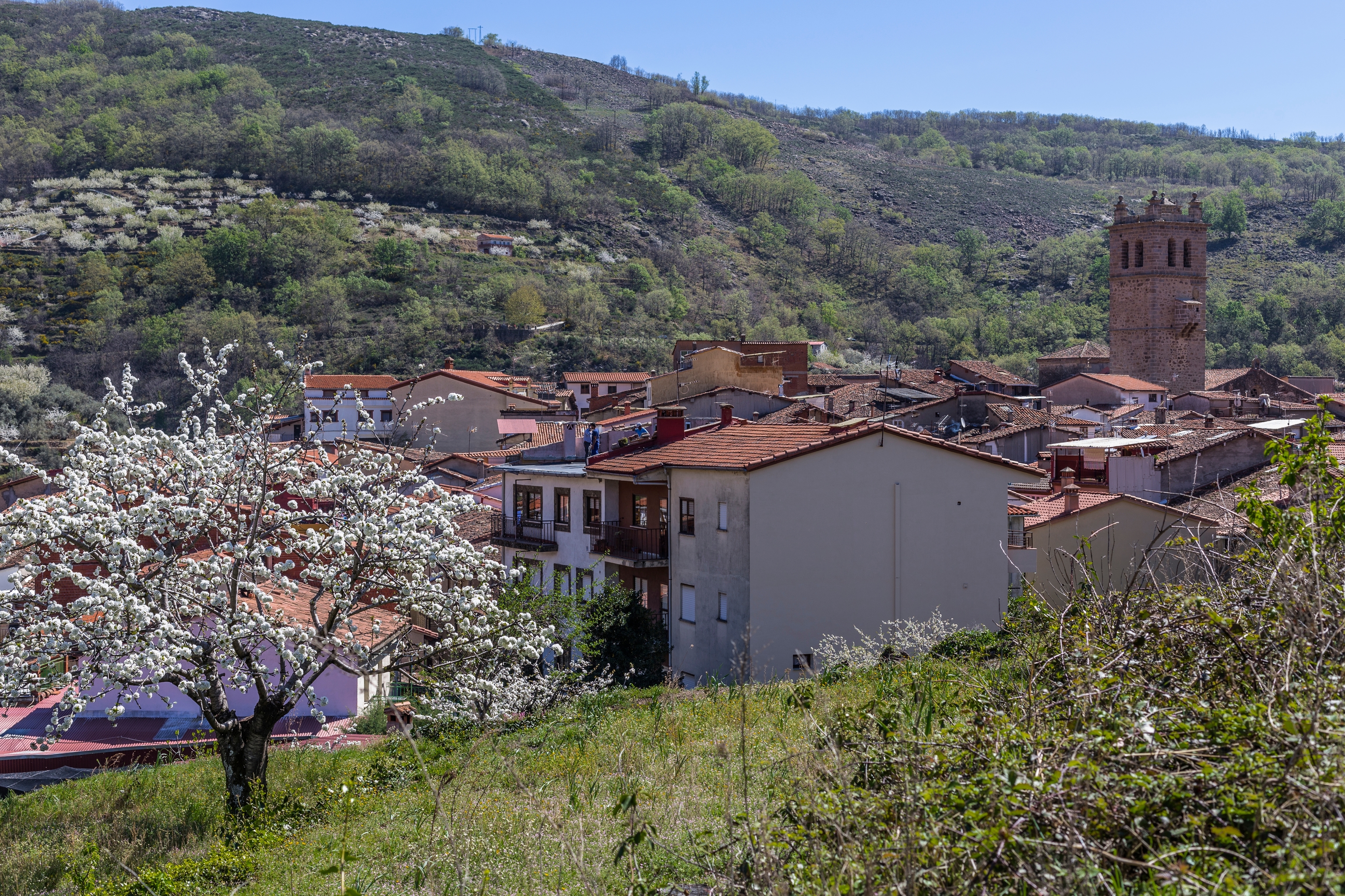 Vista del Valle del Jerte en primavera.
