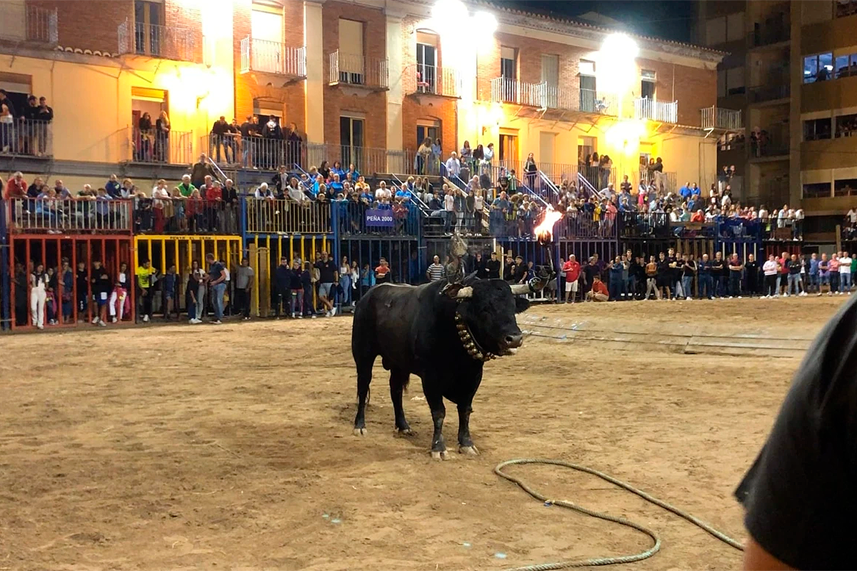 En 2019 hubo un récord histórico de festejos taurinos en la provincia de Castellón.