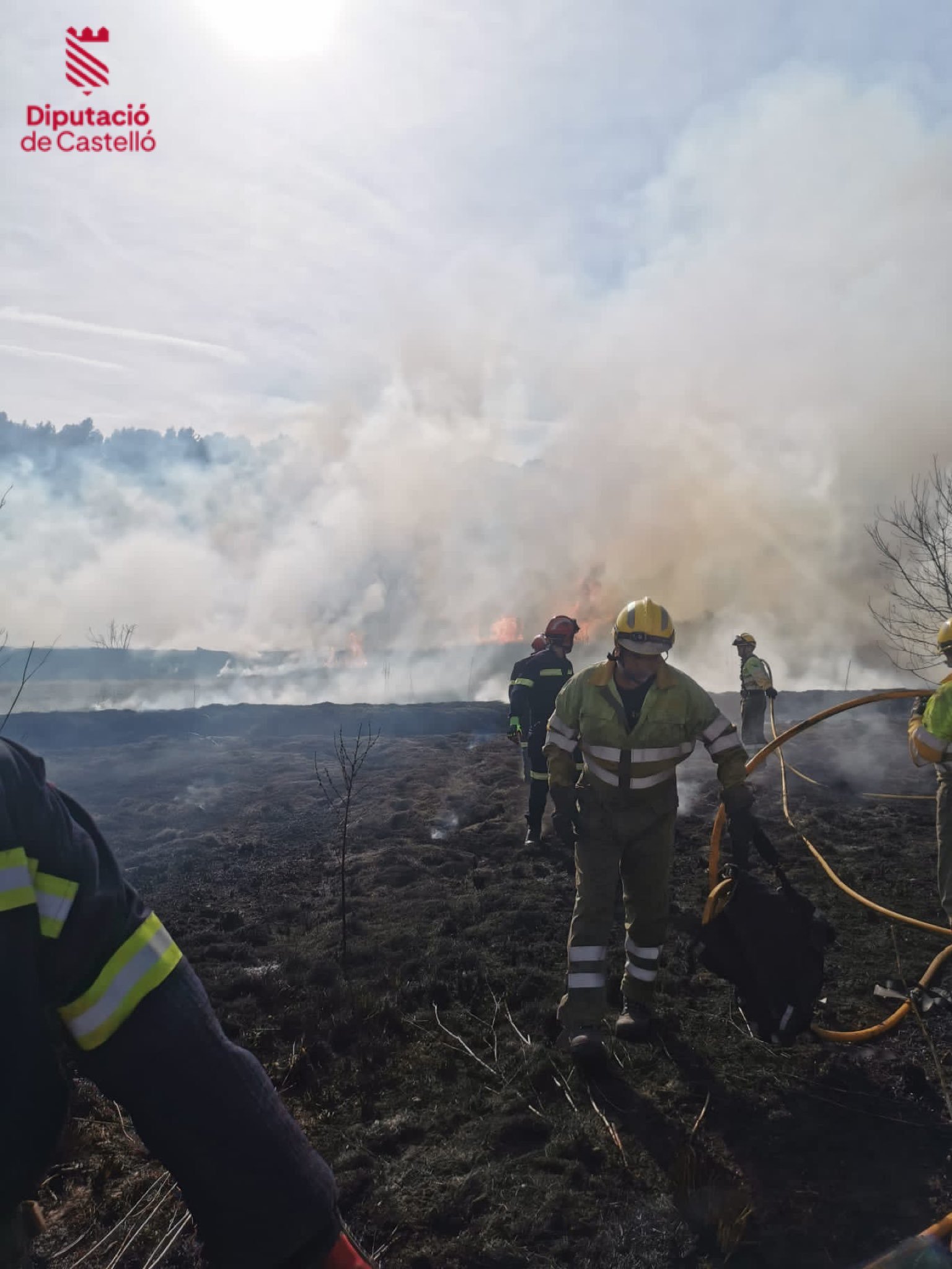 Los bomberos sofocando el incendio en un campo de cultivo de Viver.