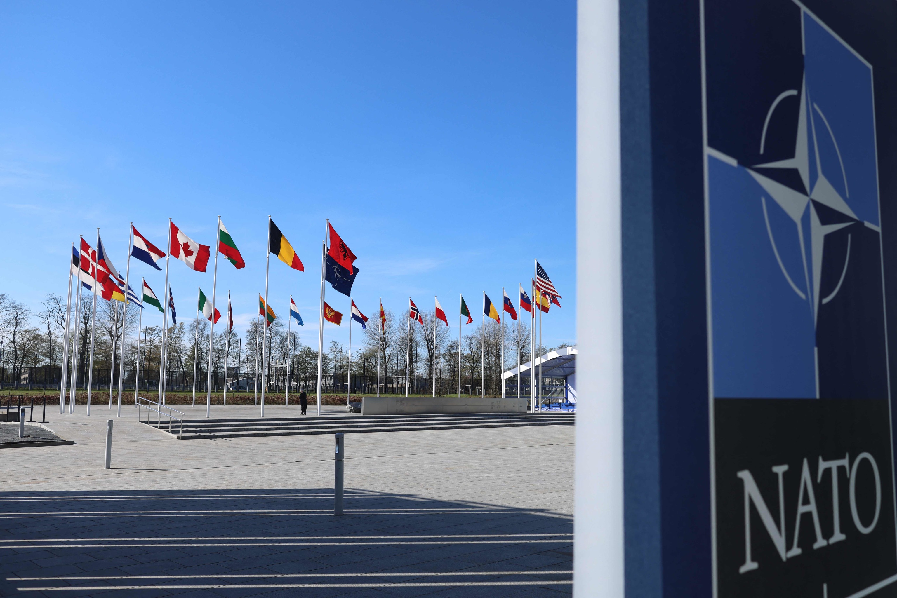 El símbolo de la OTAN junto a las banderas de los 31 países miembros.