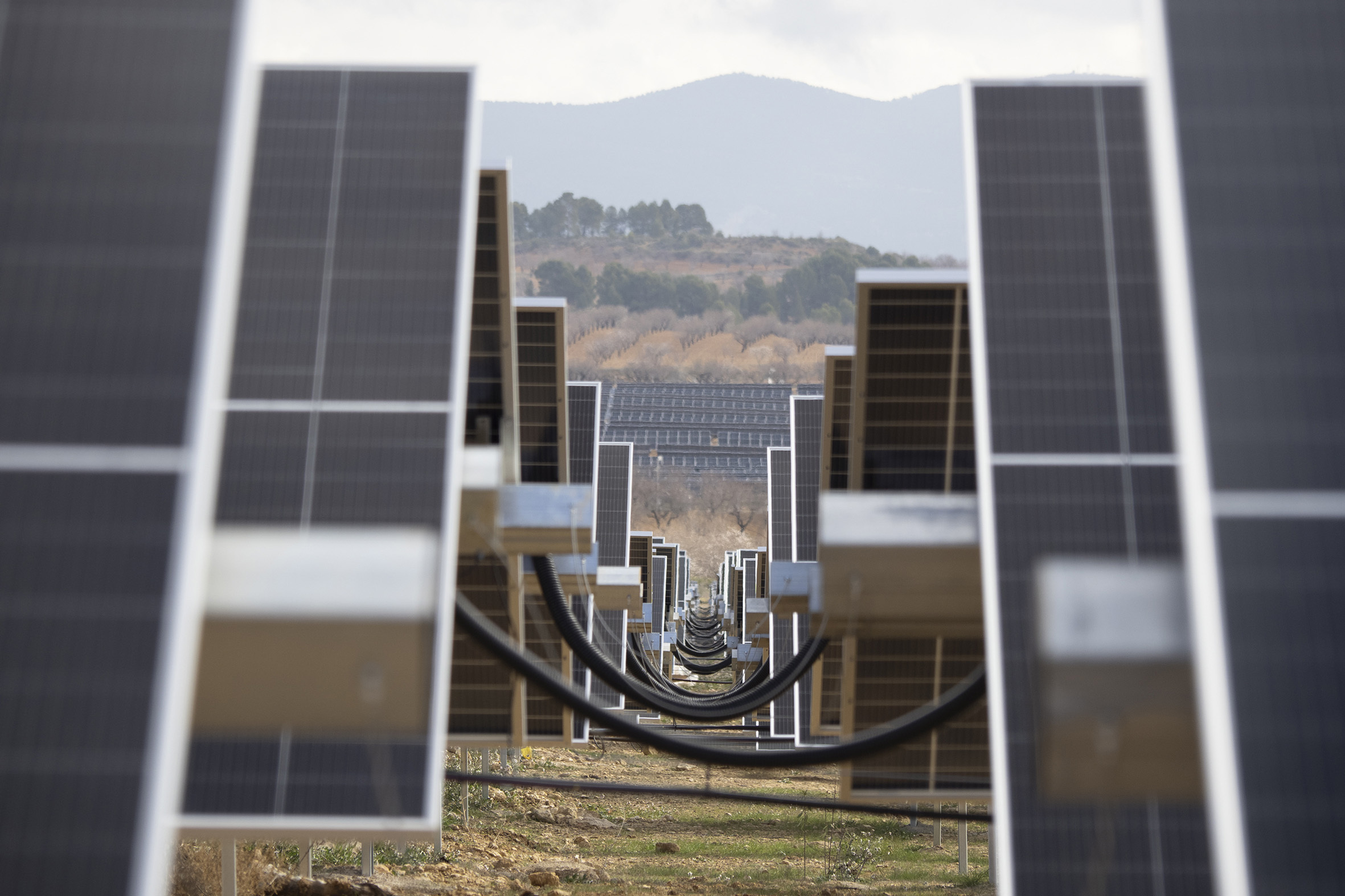 Planta fotovoltaica de Minglanilla, en Cuenca.
