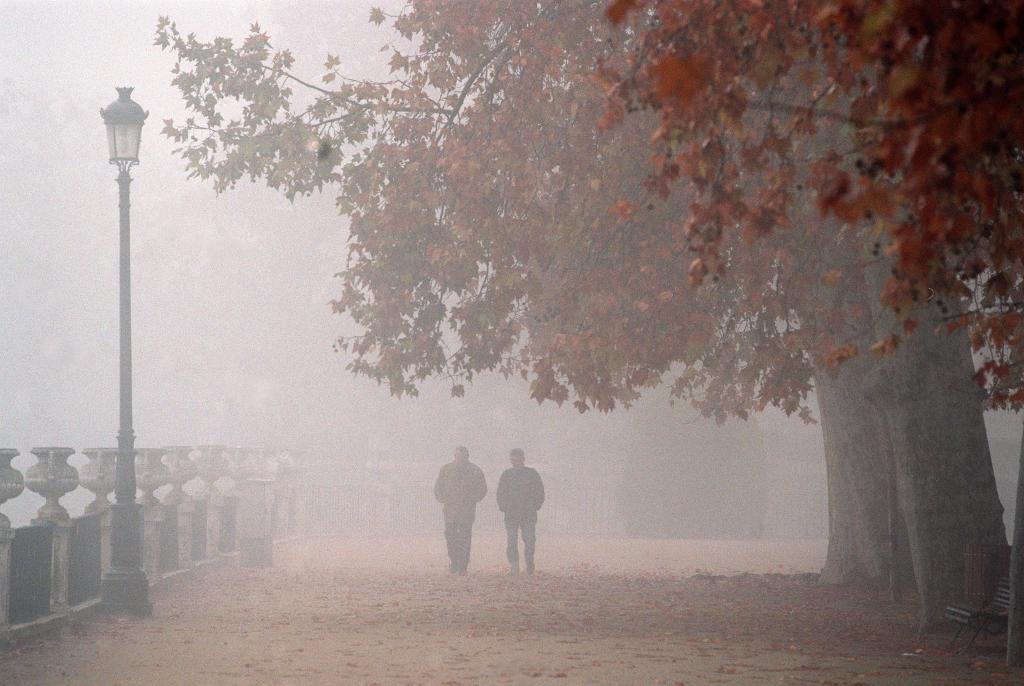 Niebla en Aranjuez