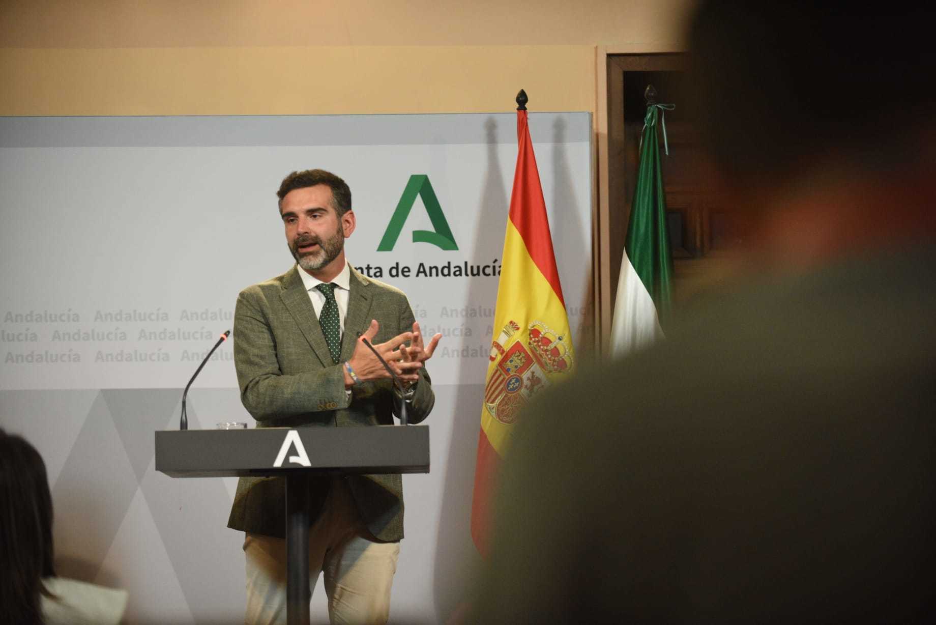 El consejero de Sostenibilidad y portavoz de la Junta, Ramón Fernández-Pacheco, este martes en el palacio de San Telmo.