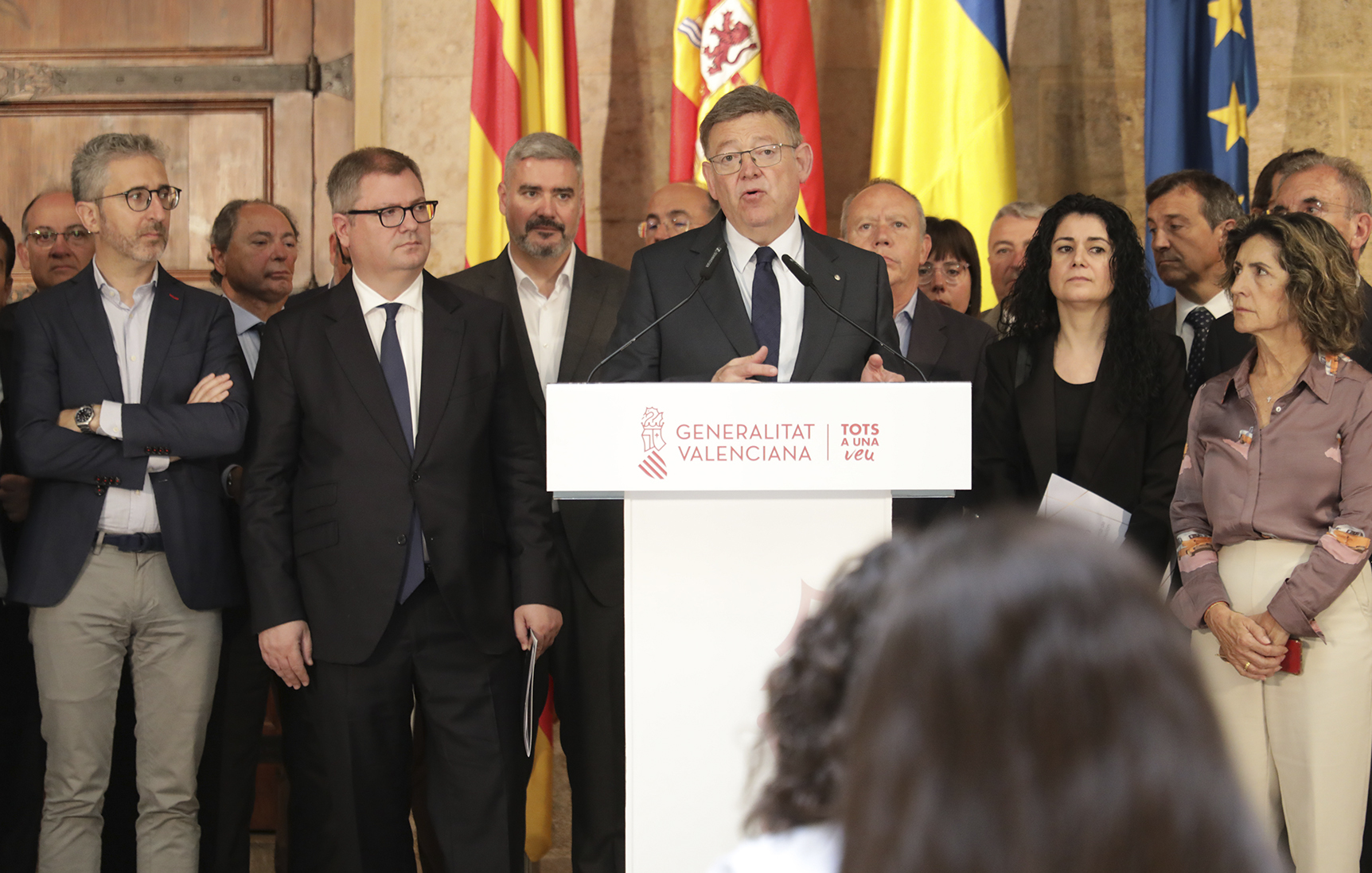 Representantes de la sociedad civil de Castelln, ayer, con Puig en el Palau de la Generalitat.