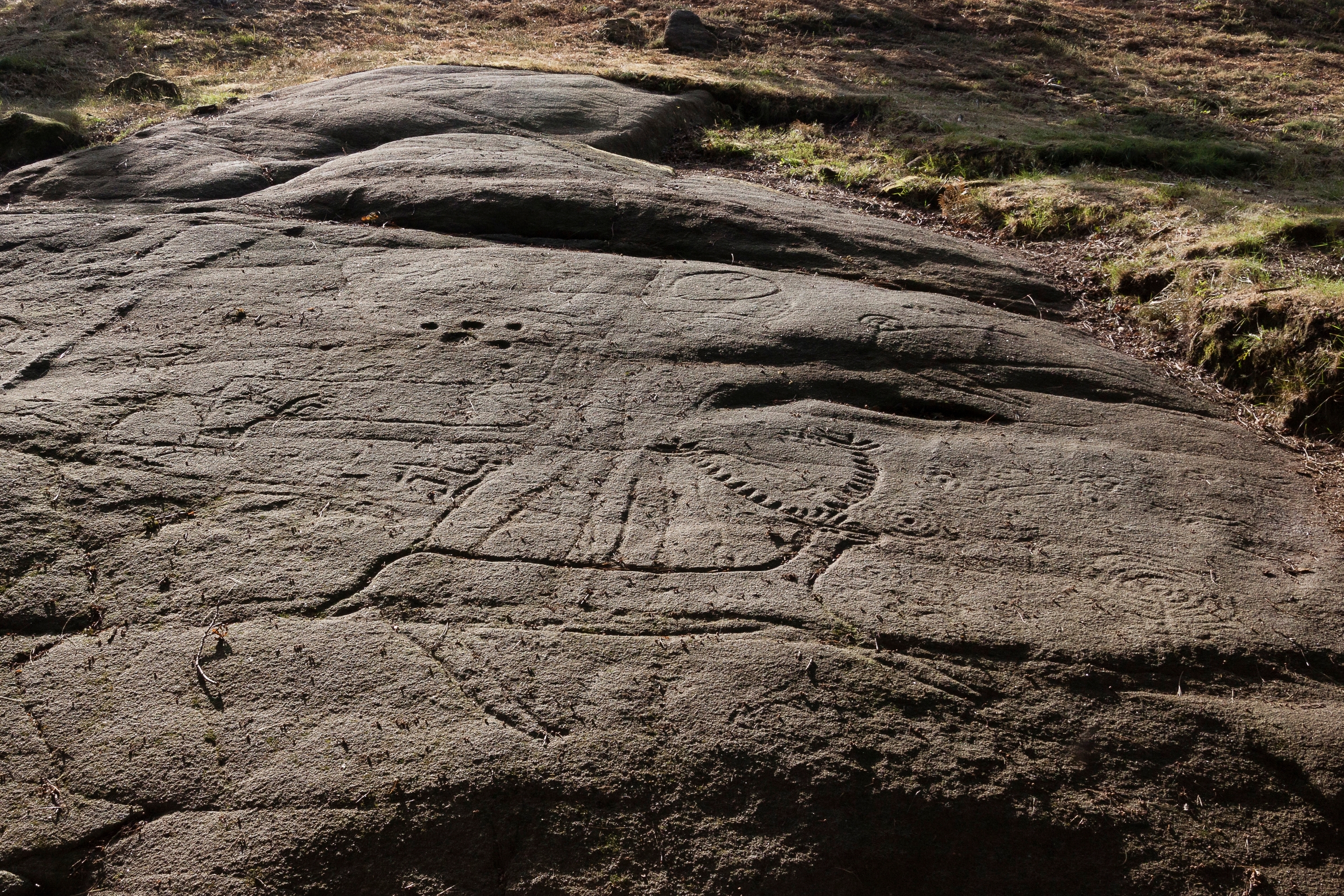 Petroglifos en la localidad de Pontevedra.