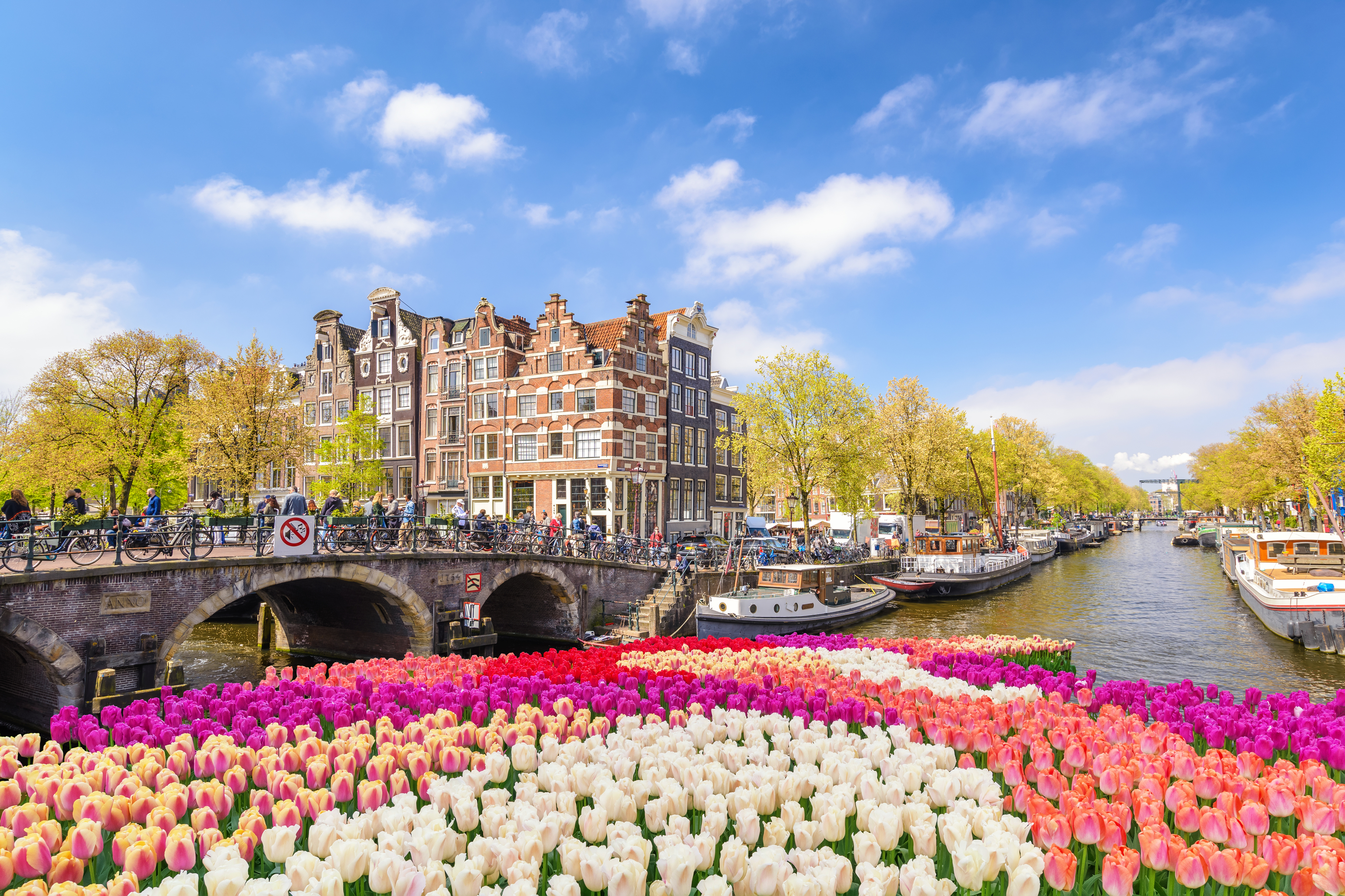 Los canales de Ámsterdam entre tulipanes.